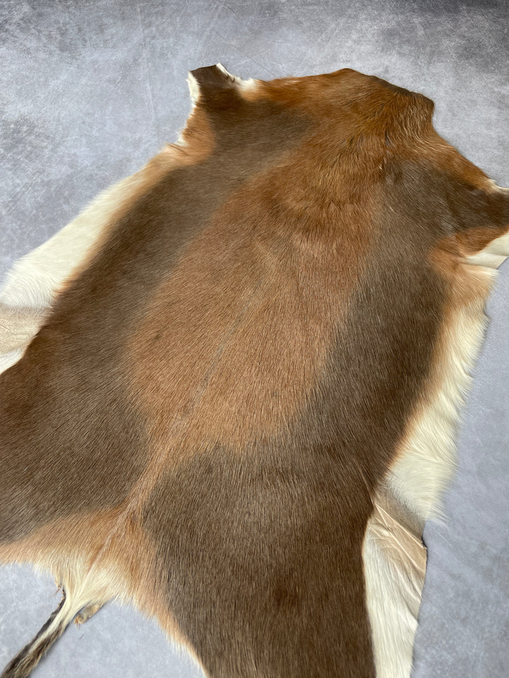 Specialty Skin - Blesbok