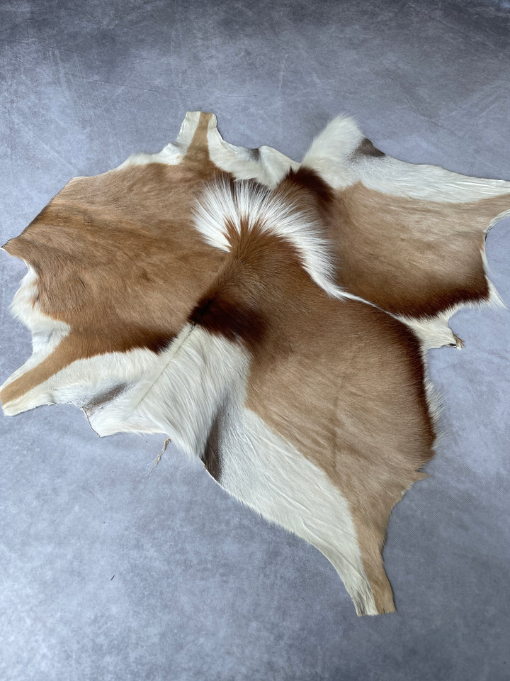Specialty Skin - Springbok