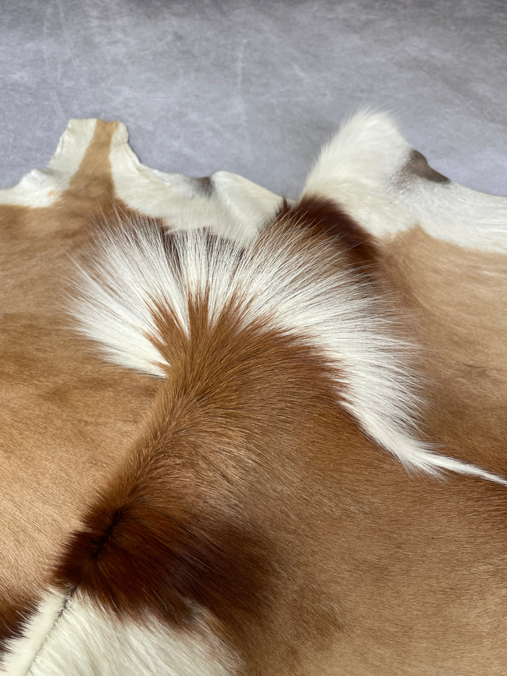 Specialty Skin - Springbok