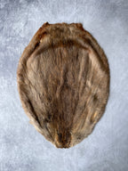 Specialty Skin - Beaver (Chinese)