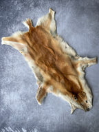 Specialty Skin - Dingo Skin/Wild Dog
