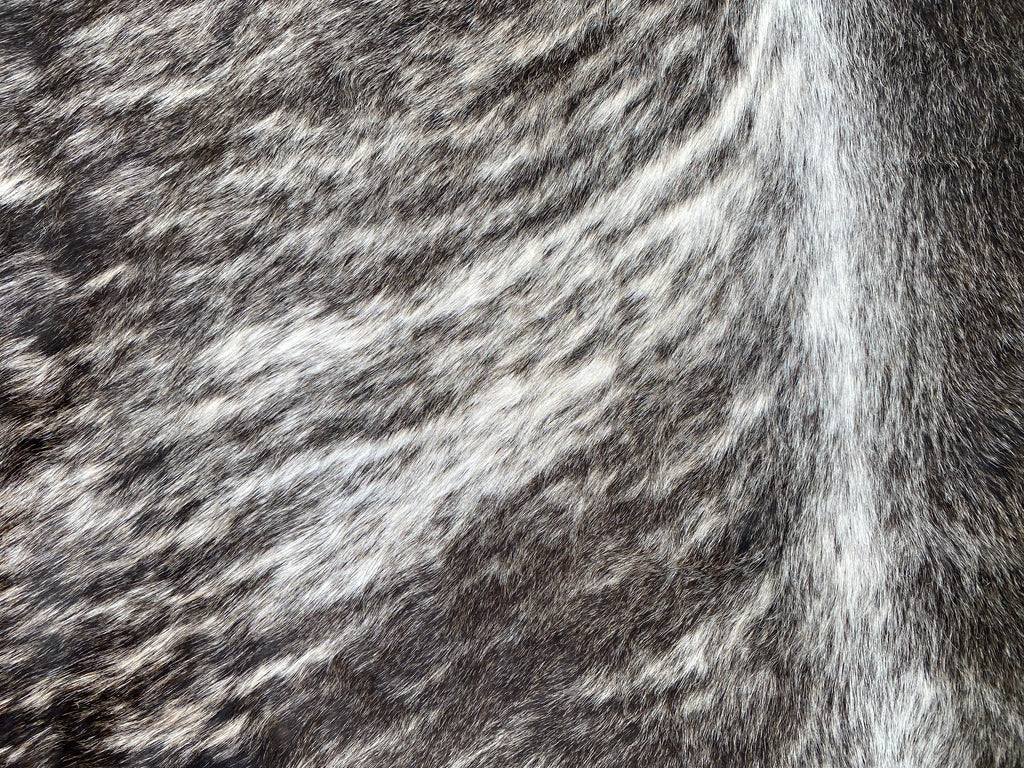 Cowhide 51 Light Brindle White Belly