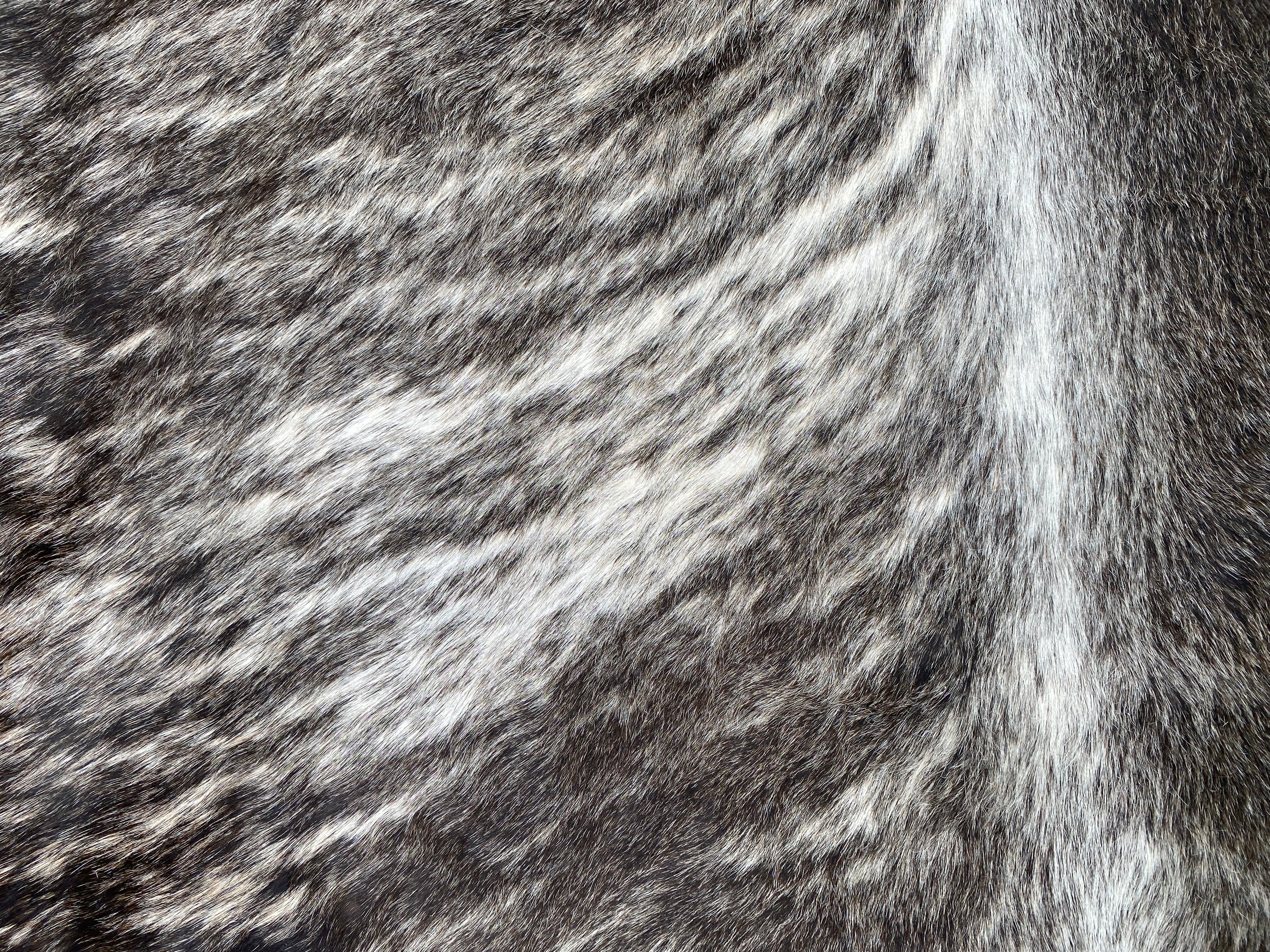 Cowhide 51 Light Brindle White Belly