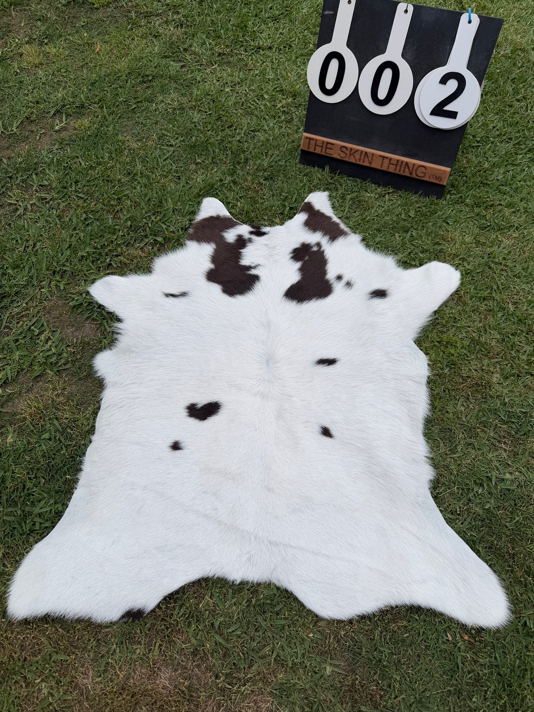 Calf Skin 02