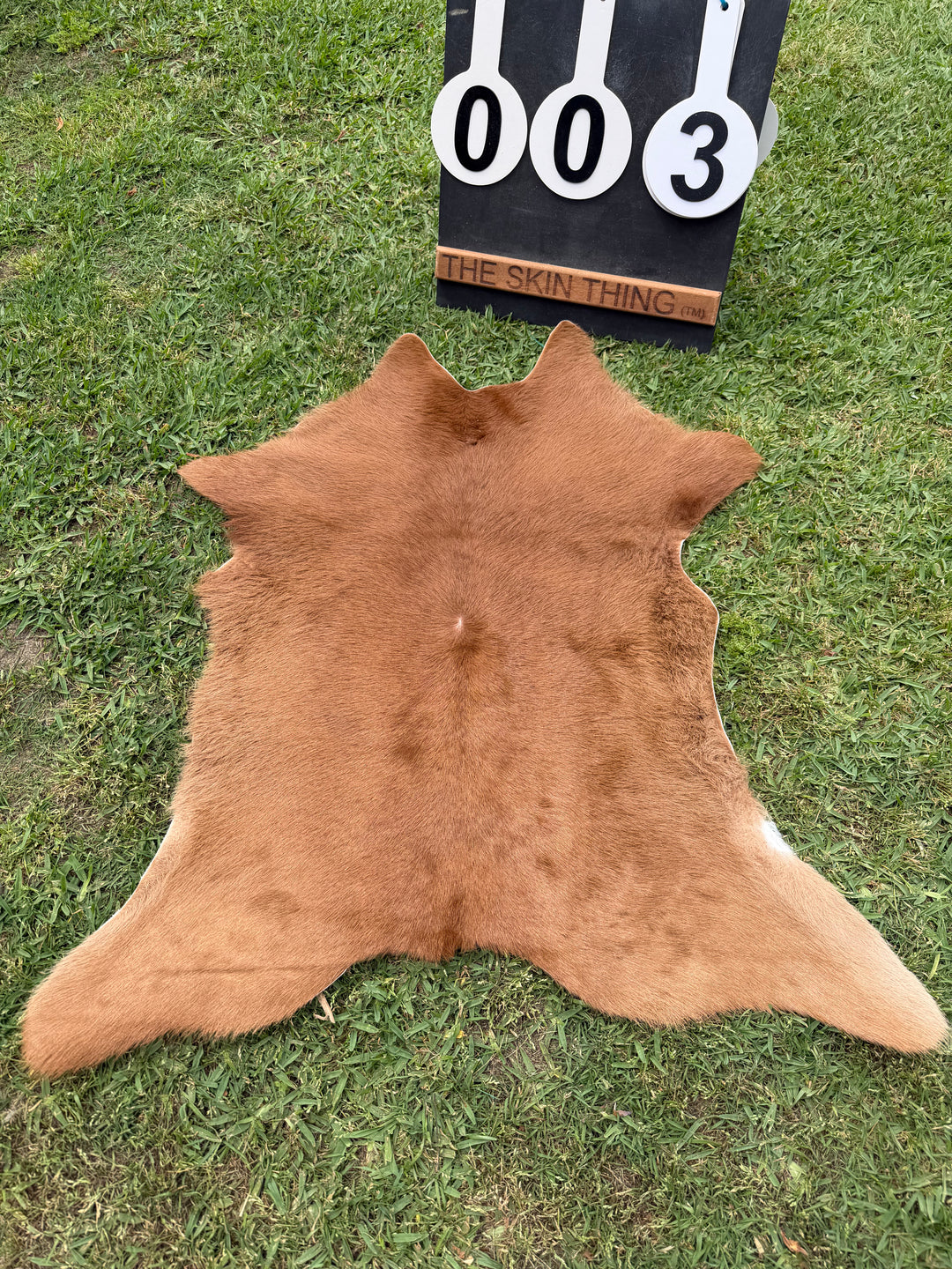 Calf Skin 03