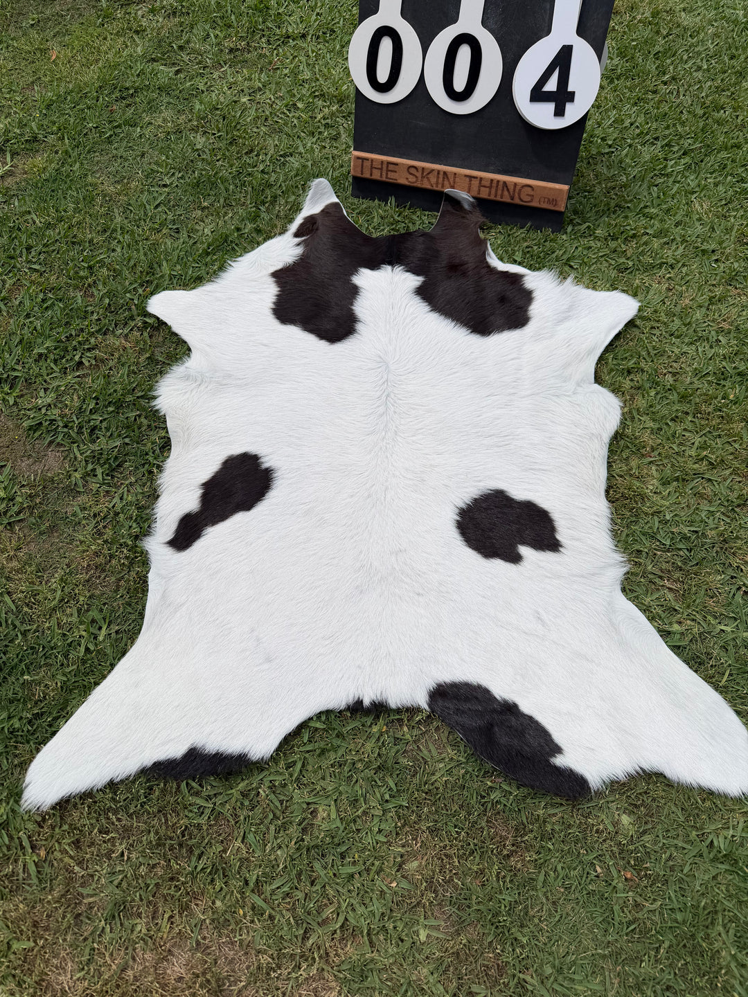 Calf Skin 04
