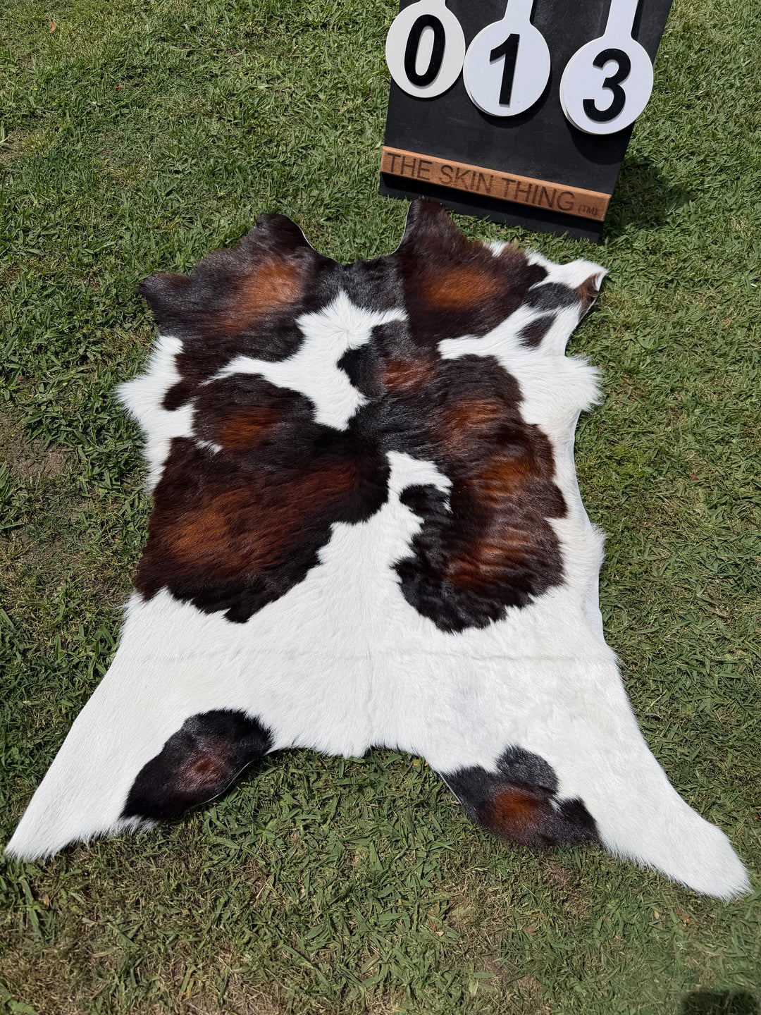 Calf Skin 13