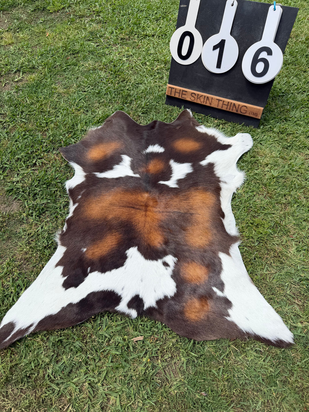 Calf Skin 16
