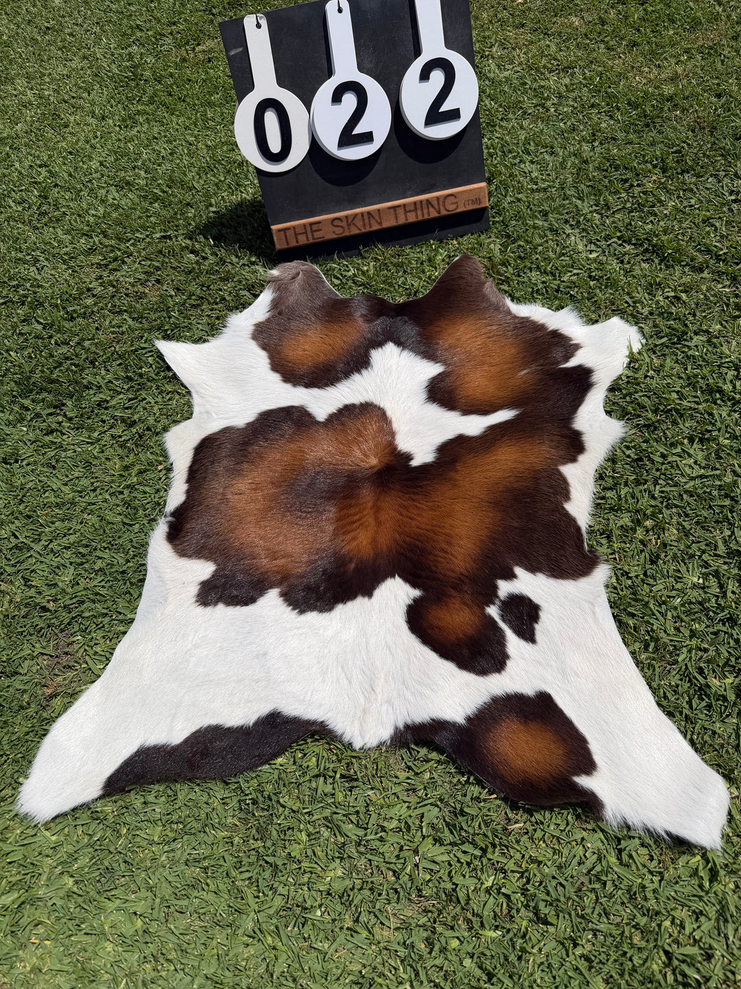 Calf Skin 22