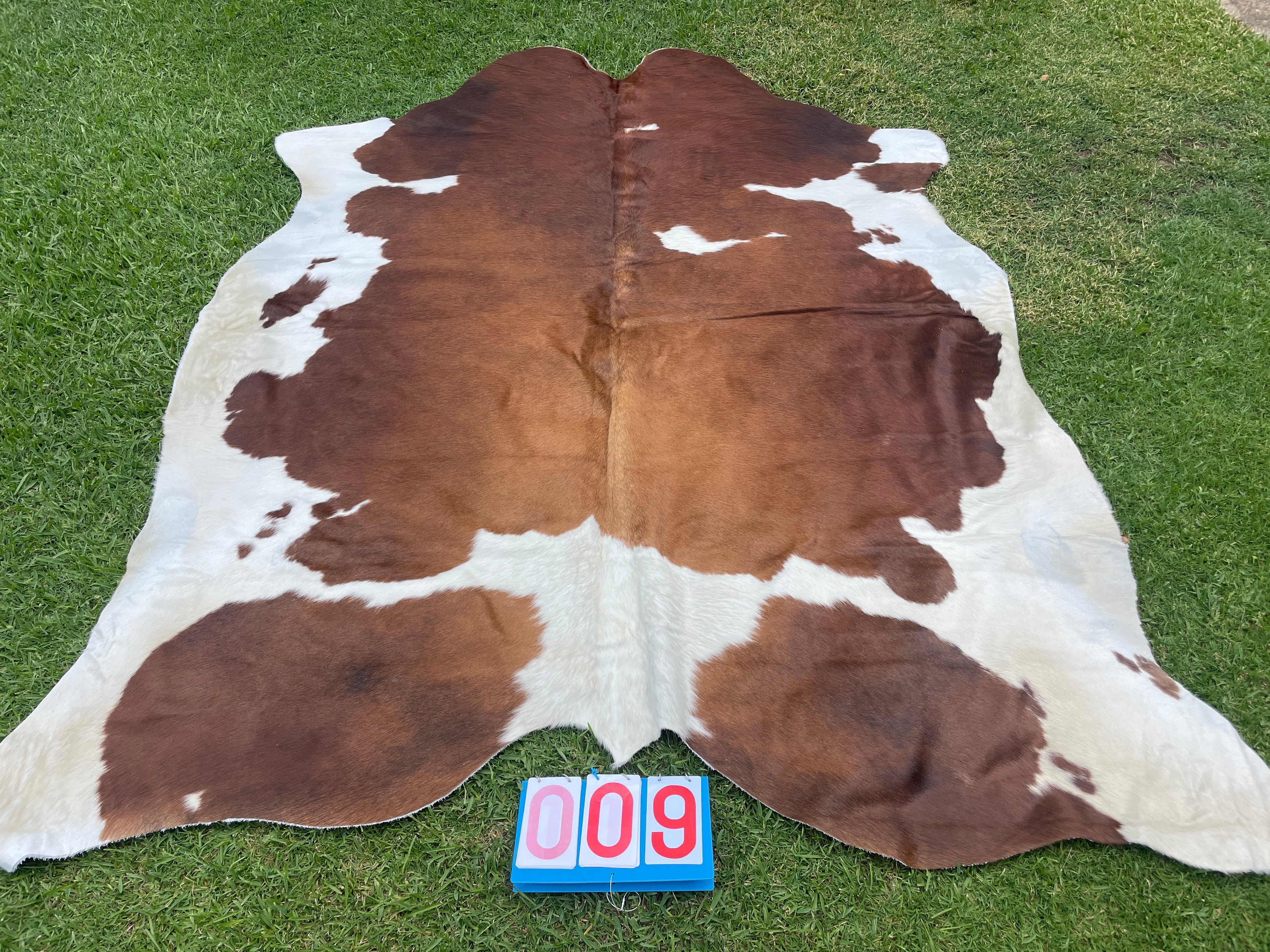 Cowhide 09 Stunning Brown and White