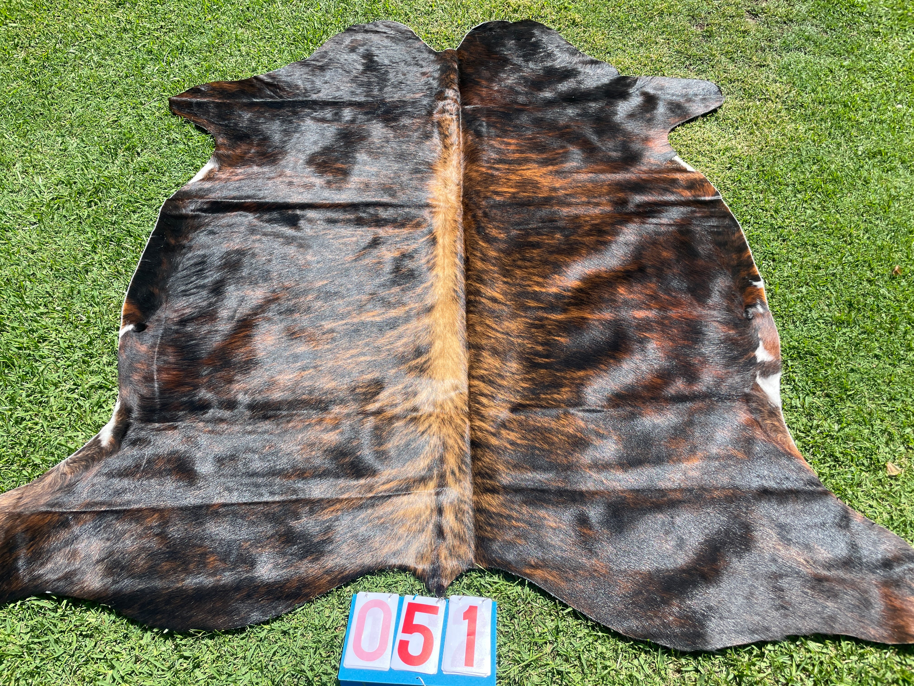 Cowhide 51 Dark Brindle