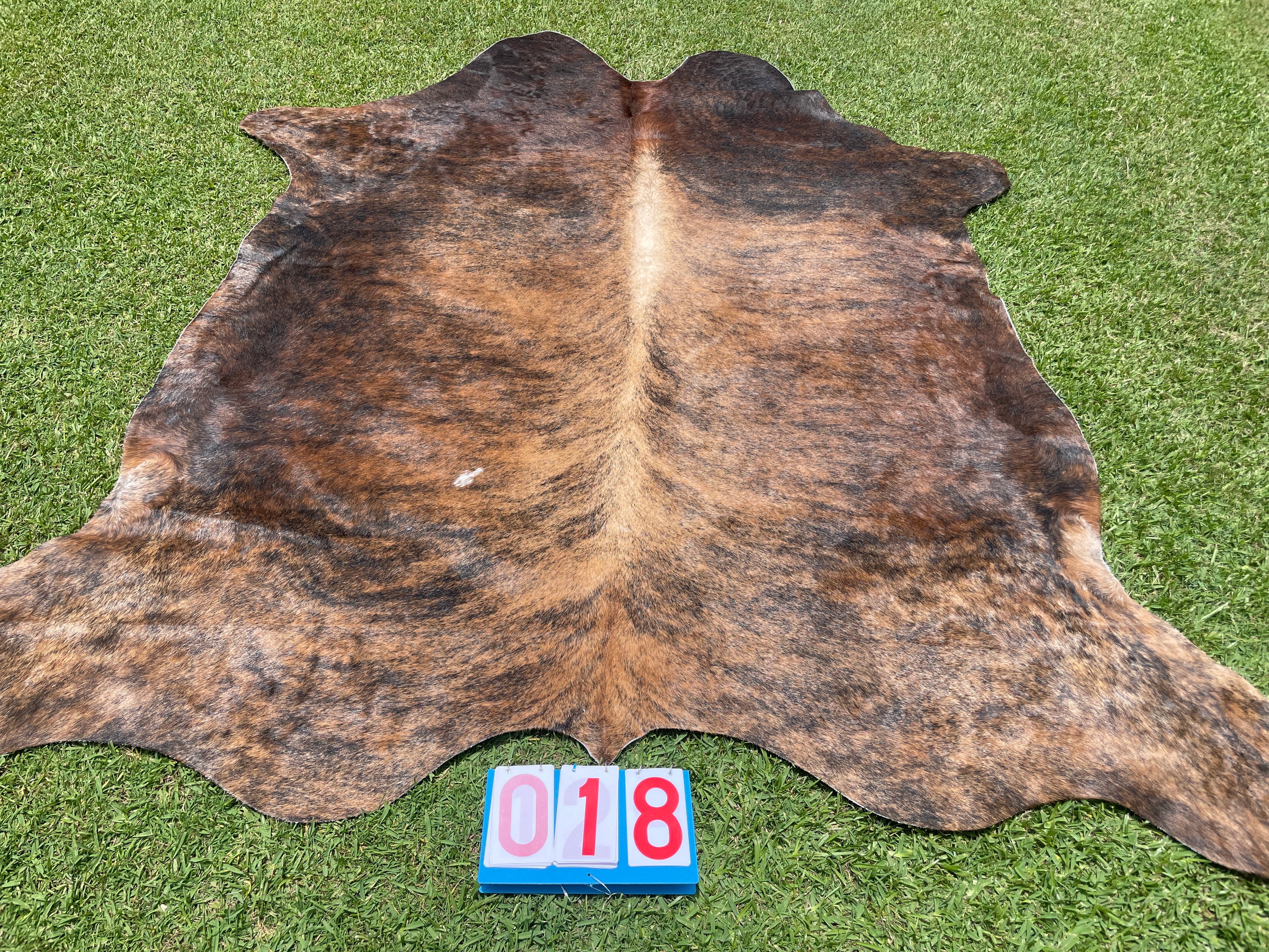 Cowhide 18 Brindle