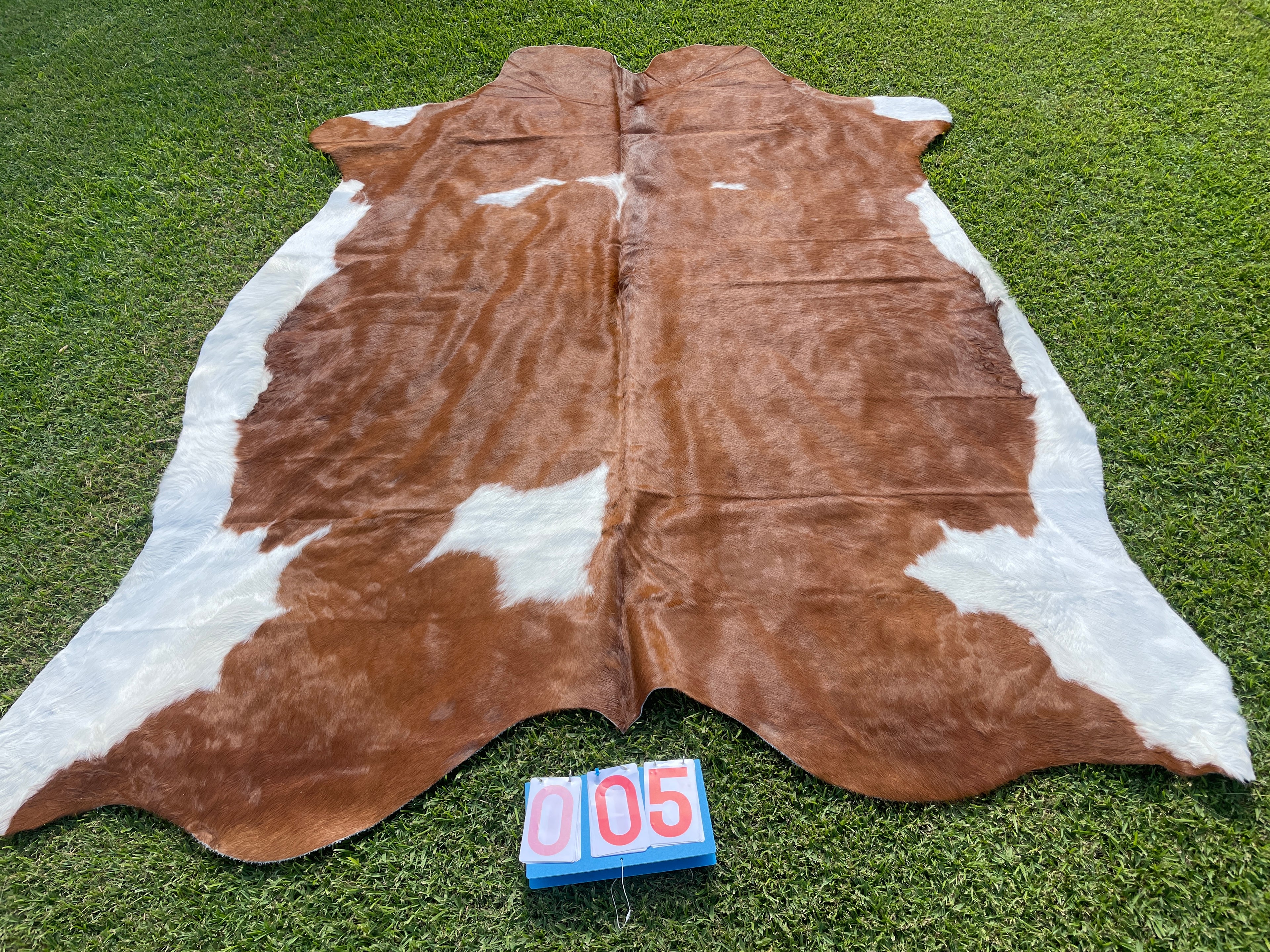 Cowhide 05 Large Brown and White