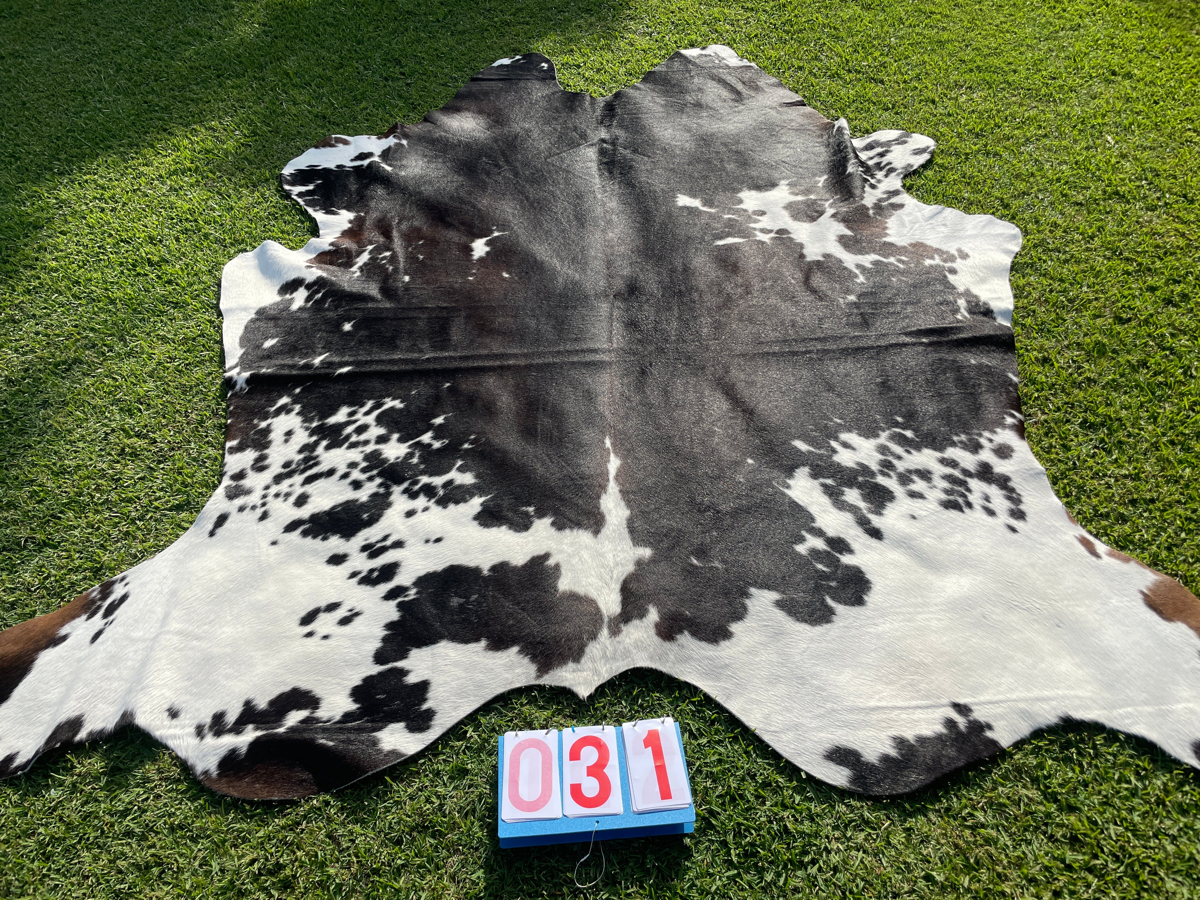 Cowhide 31 Black and White