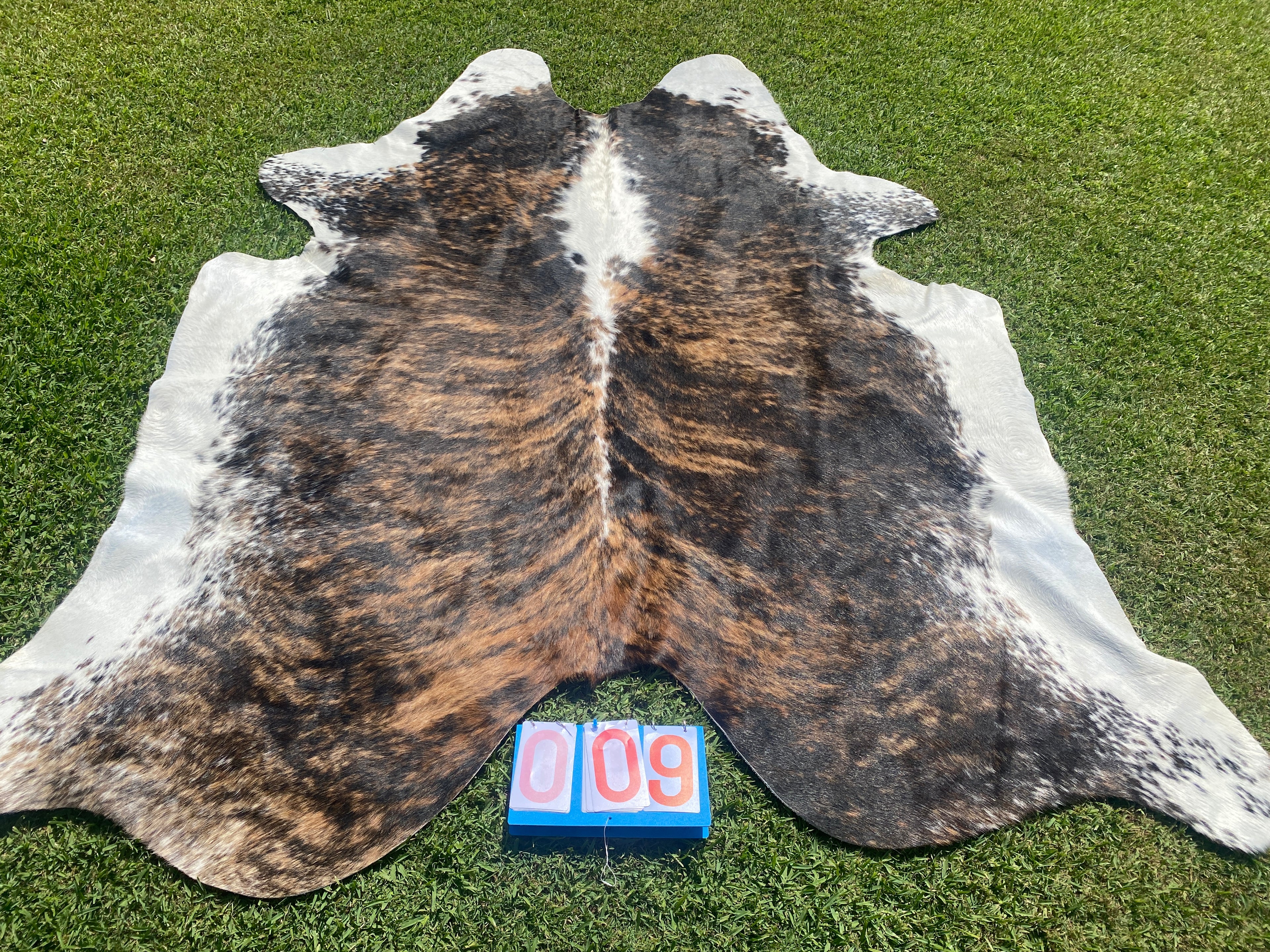 Cowhide 09 Stunning Brown and White Brindle