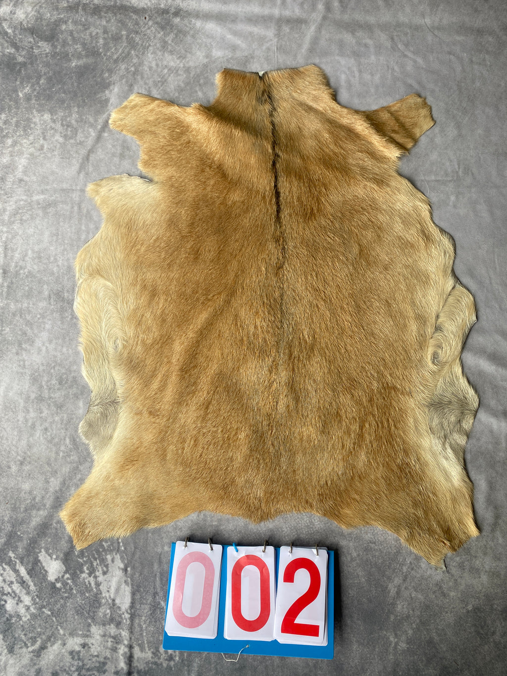 Specialty Skin - Goat