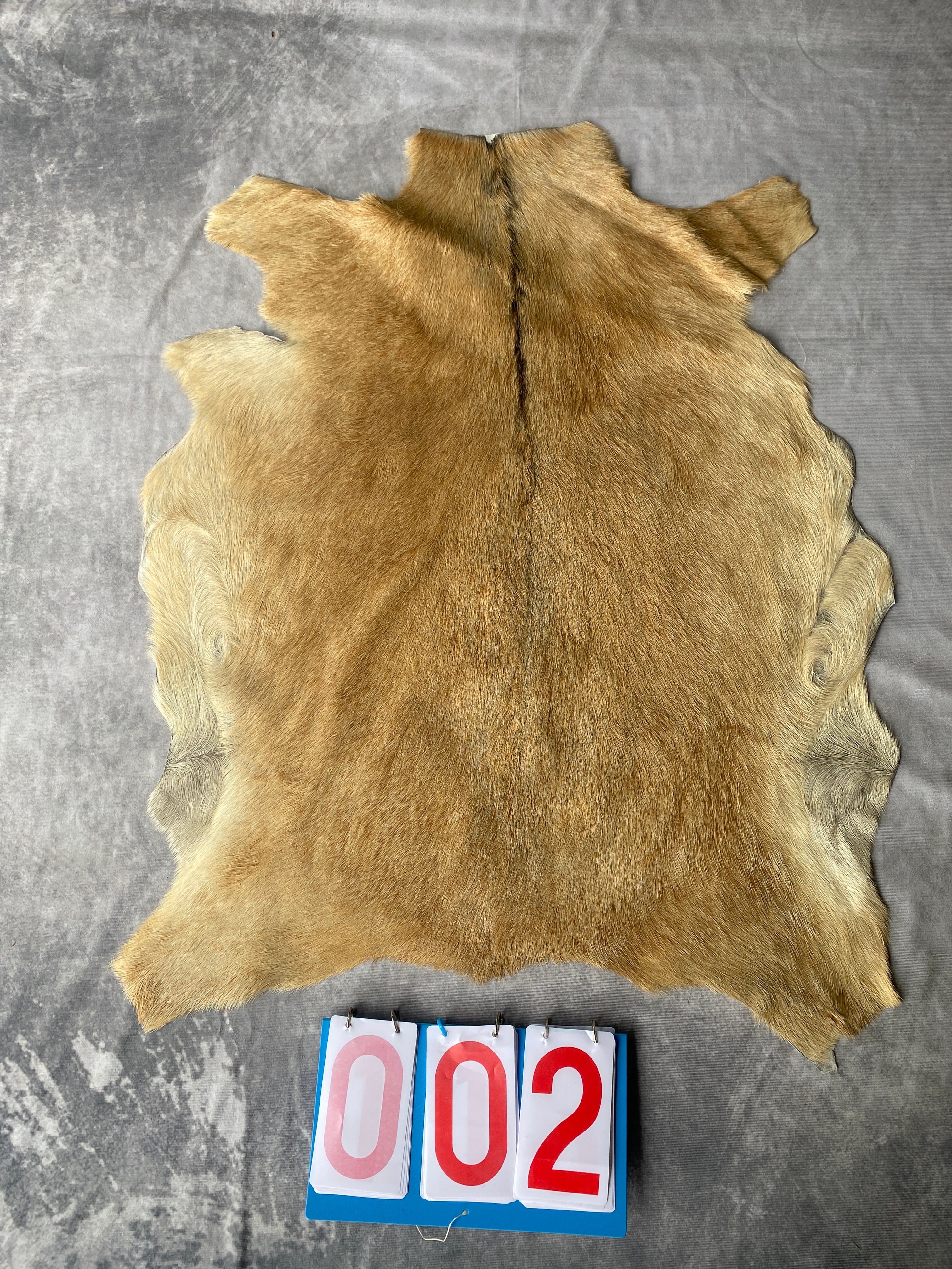 Specialty Skin - Goat