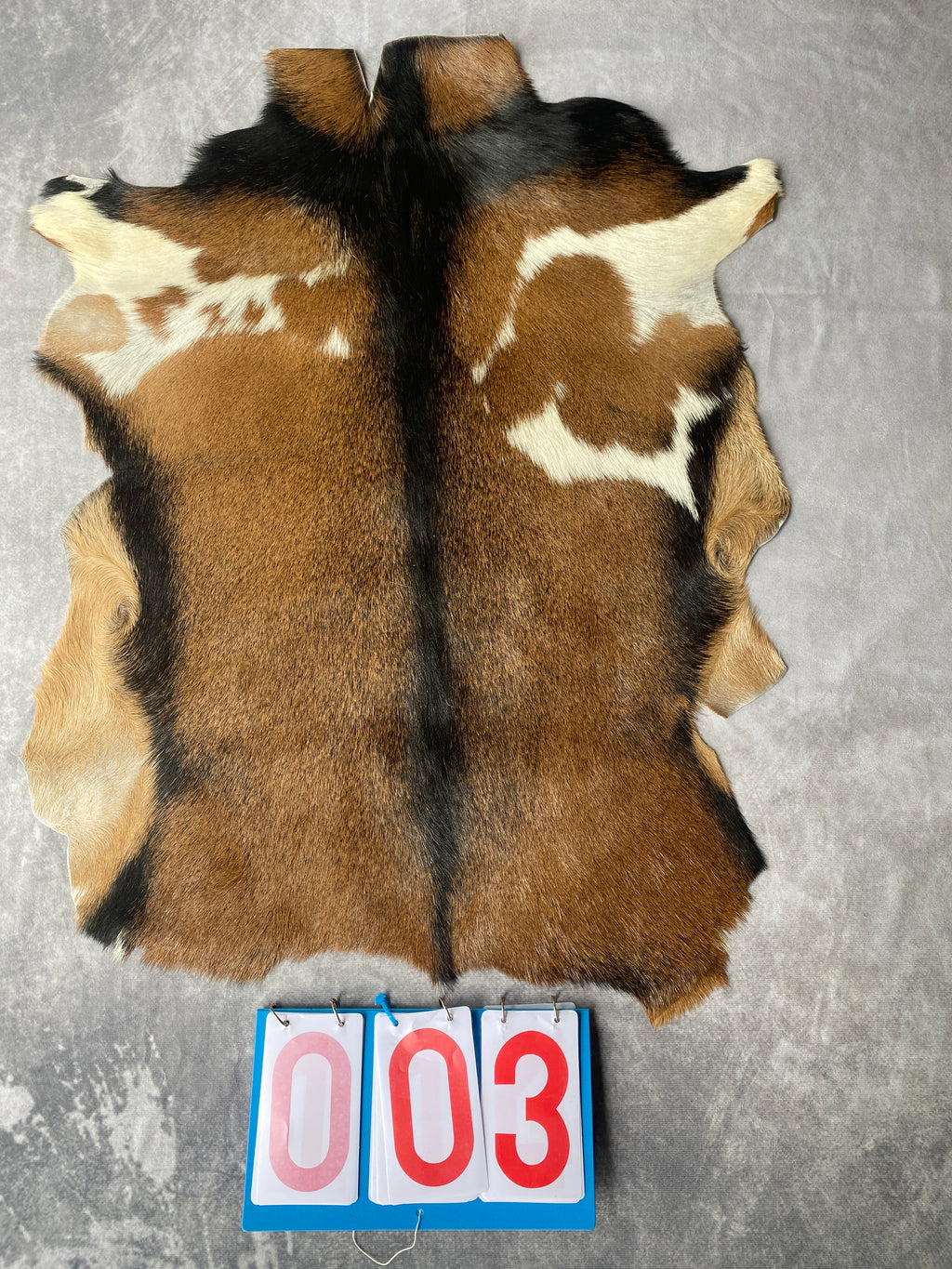 Specialty Skin - Goat