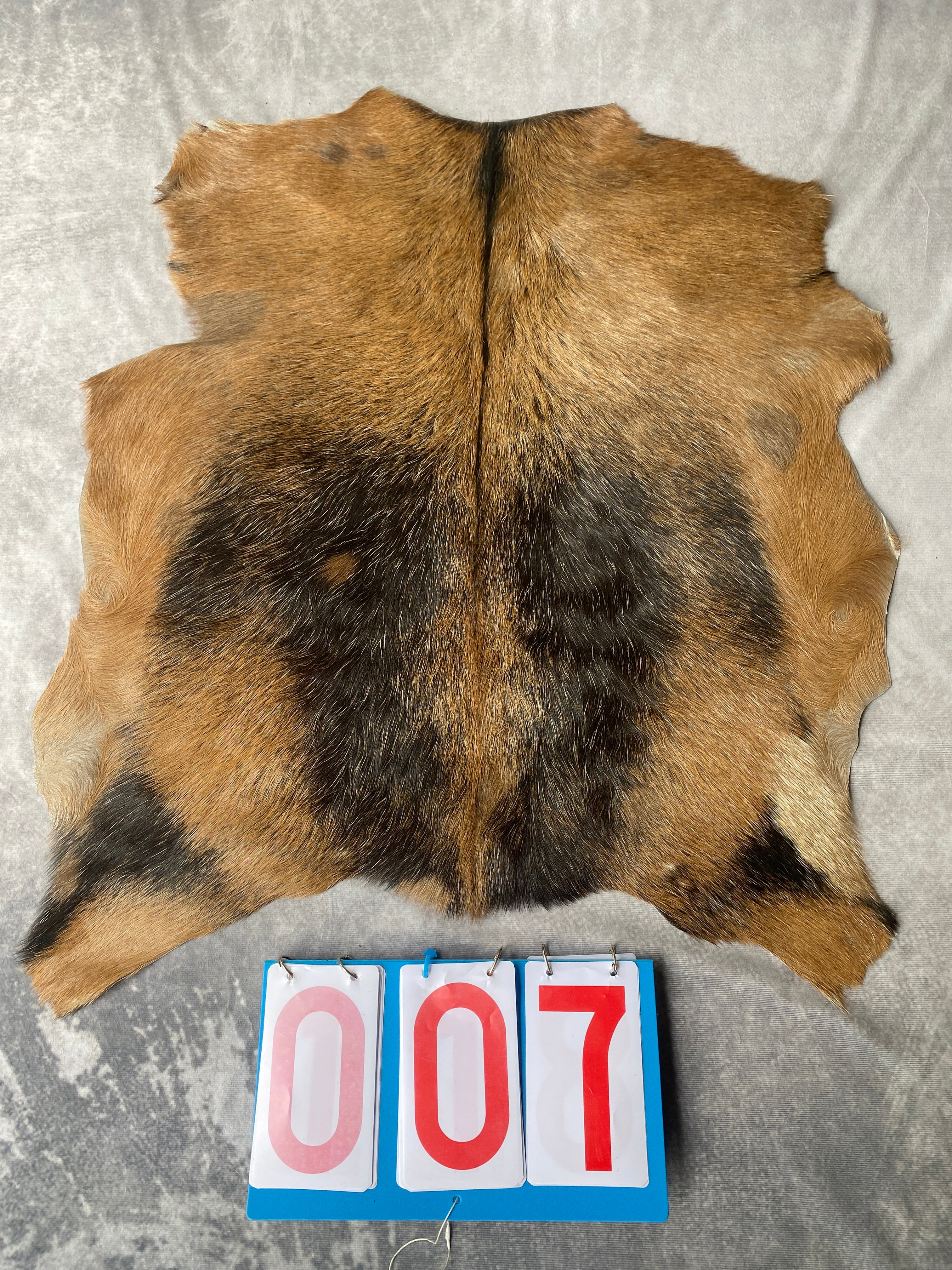 Specialty Skin - Goat