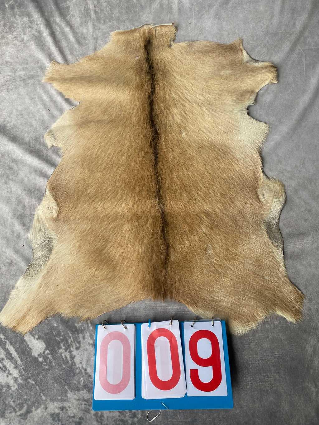 Specialty Skin - Goat