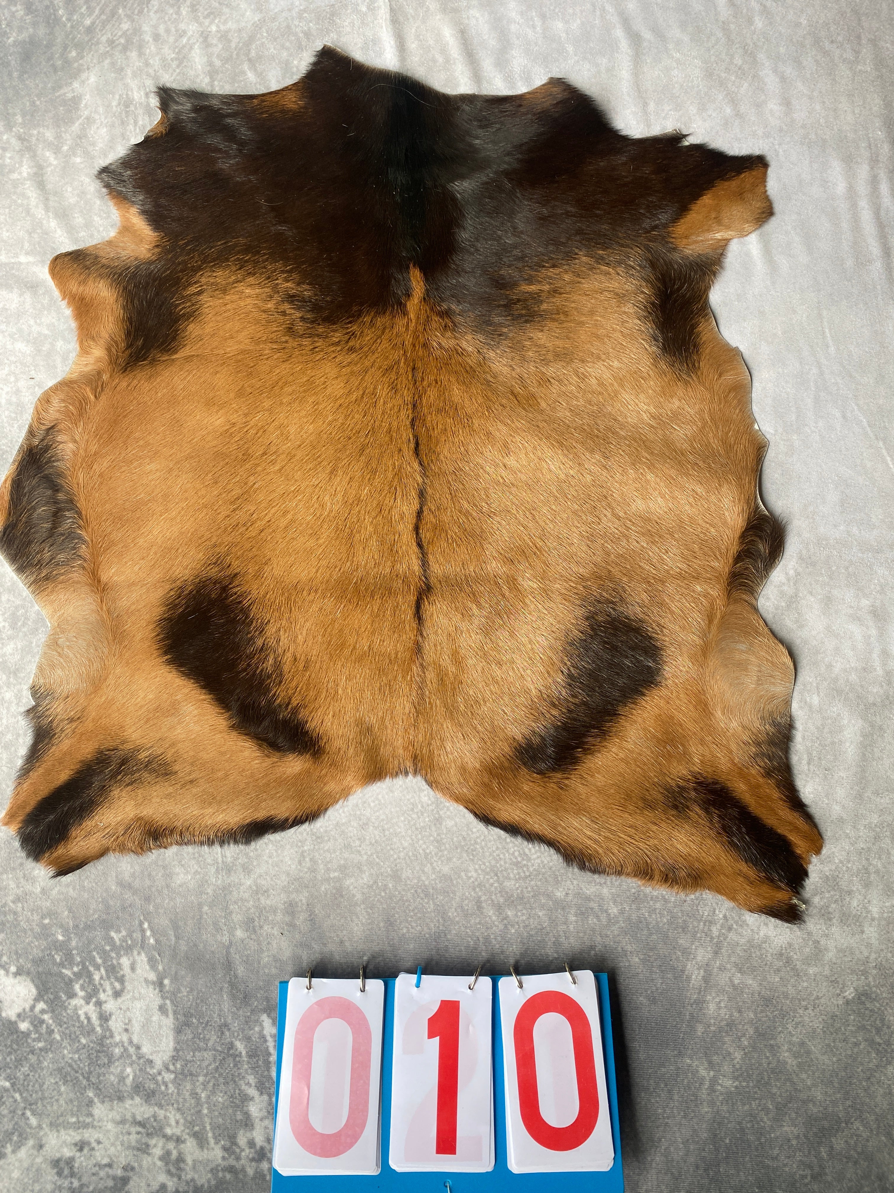 Specialty Skin - Goat