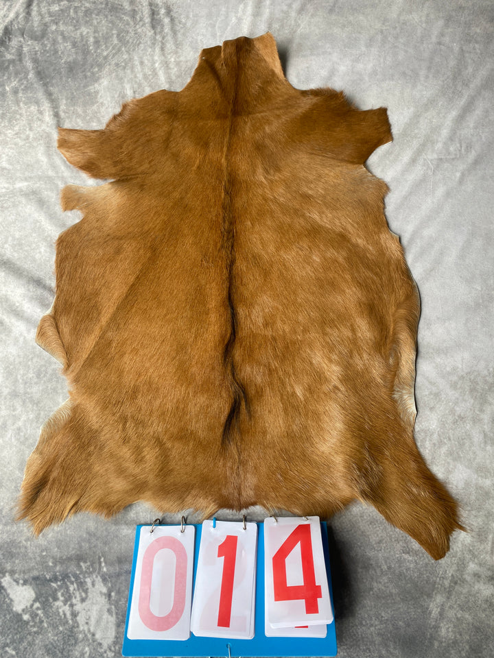 Specialty Skin - Goat
