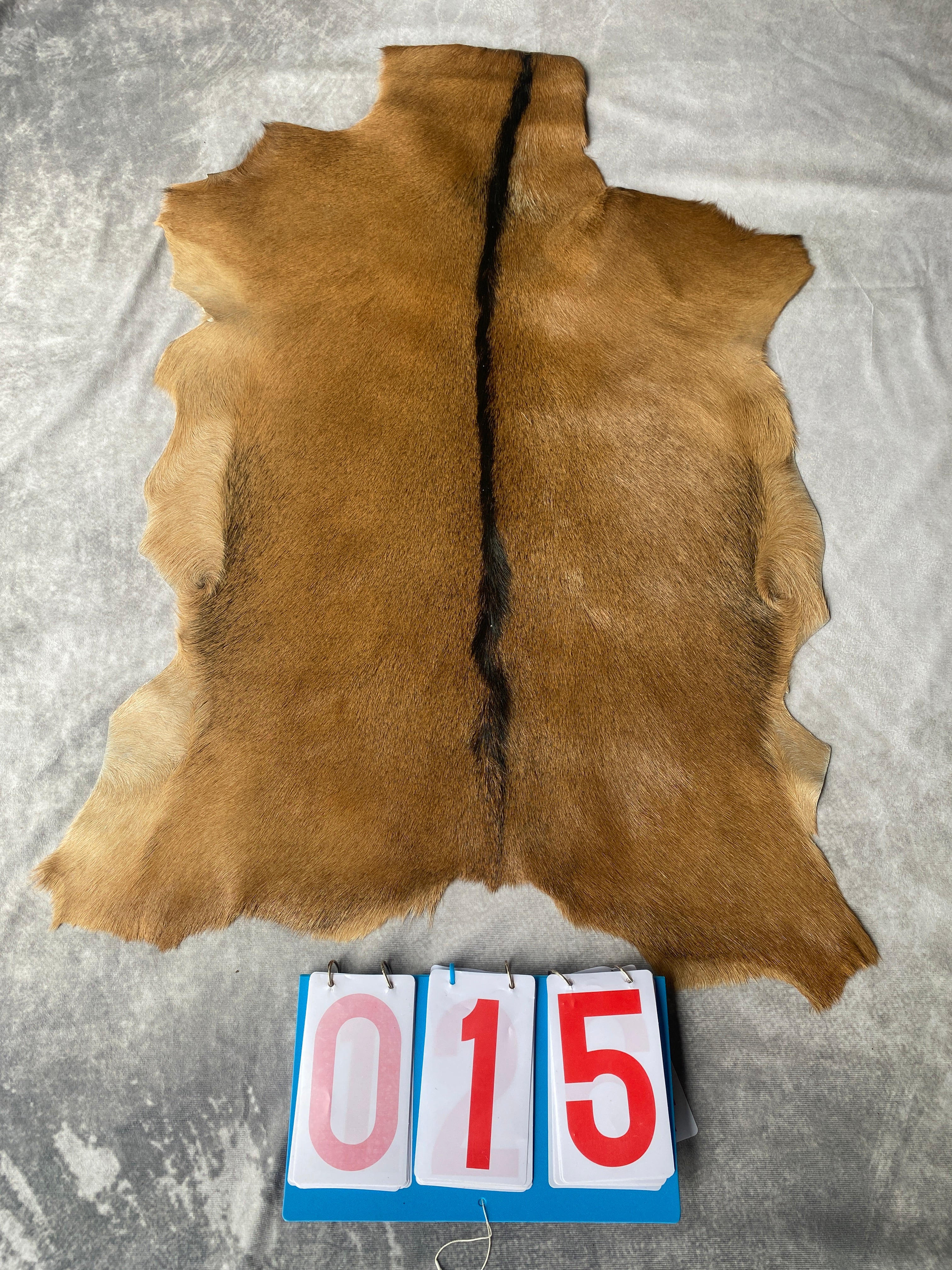 Specialty Skin - Goat