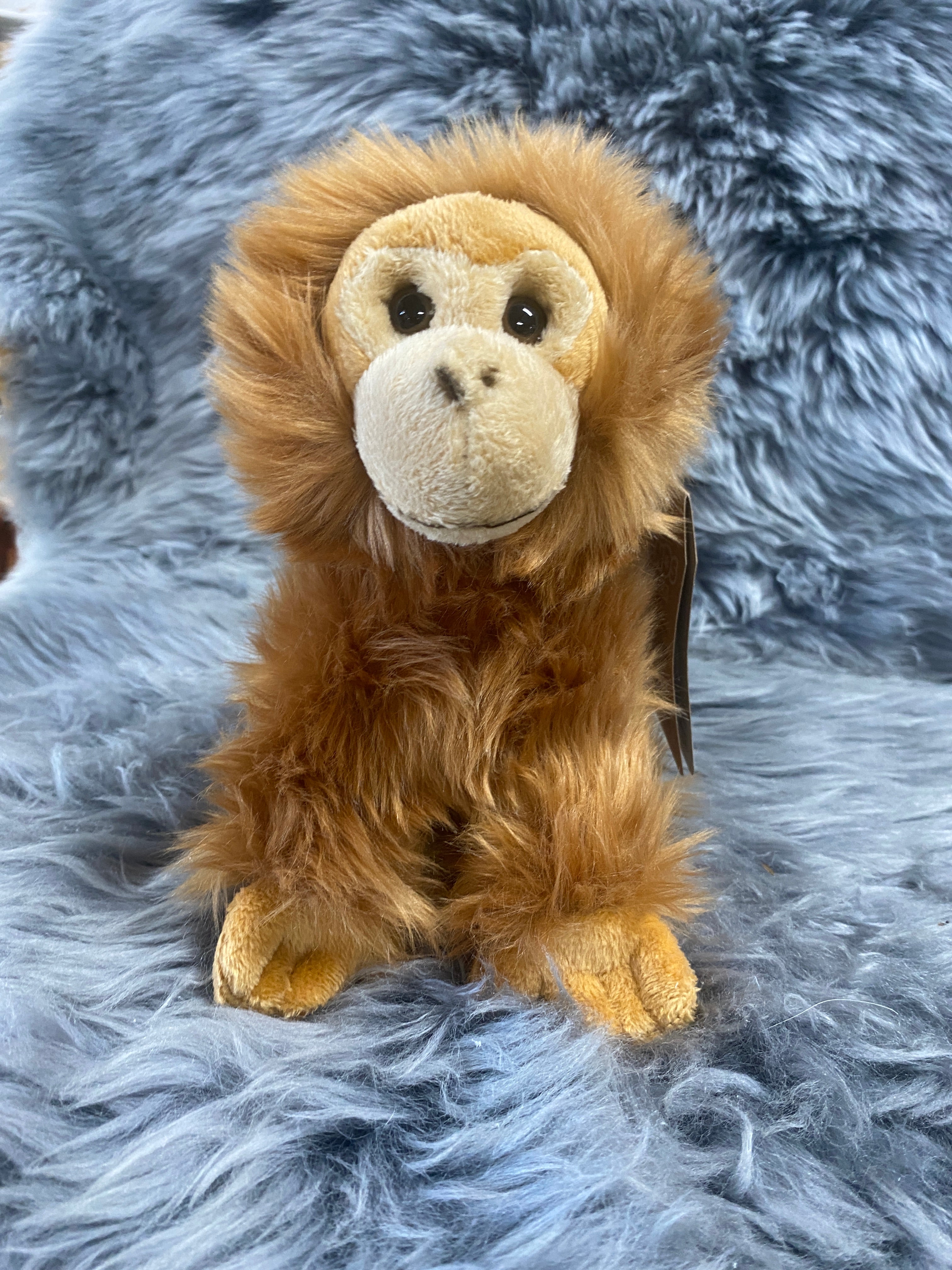 Toys - Soft Plush Animals