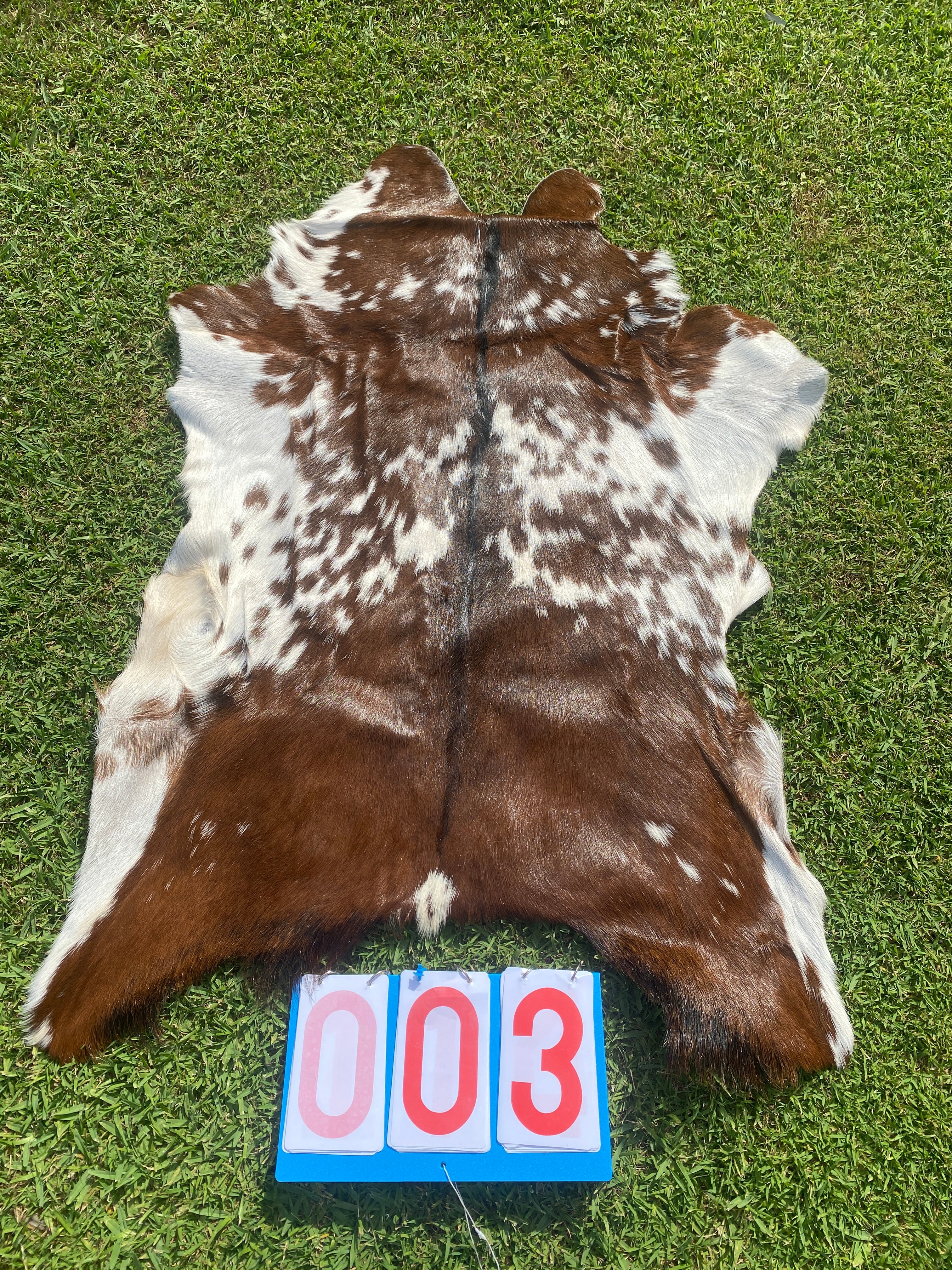 Specialty Skin - Goat