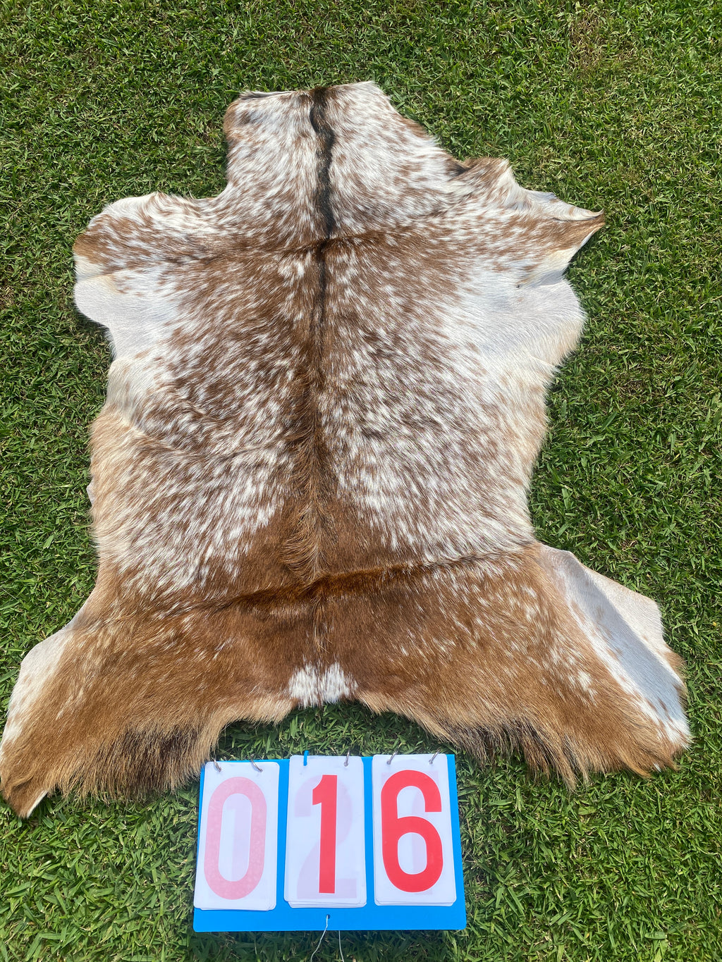 Specialty Skin - Goat