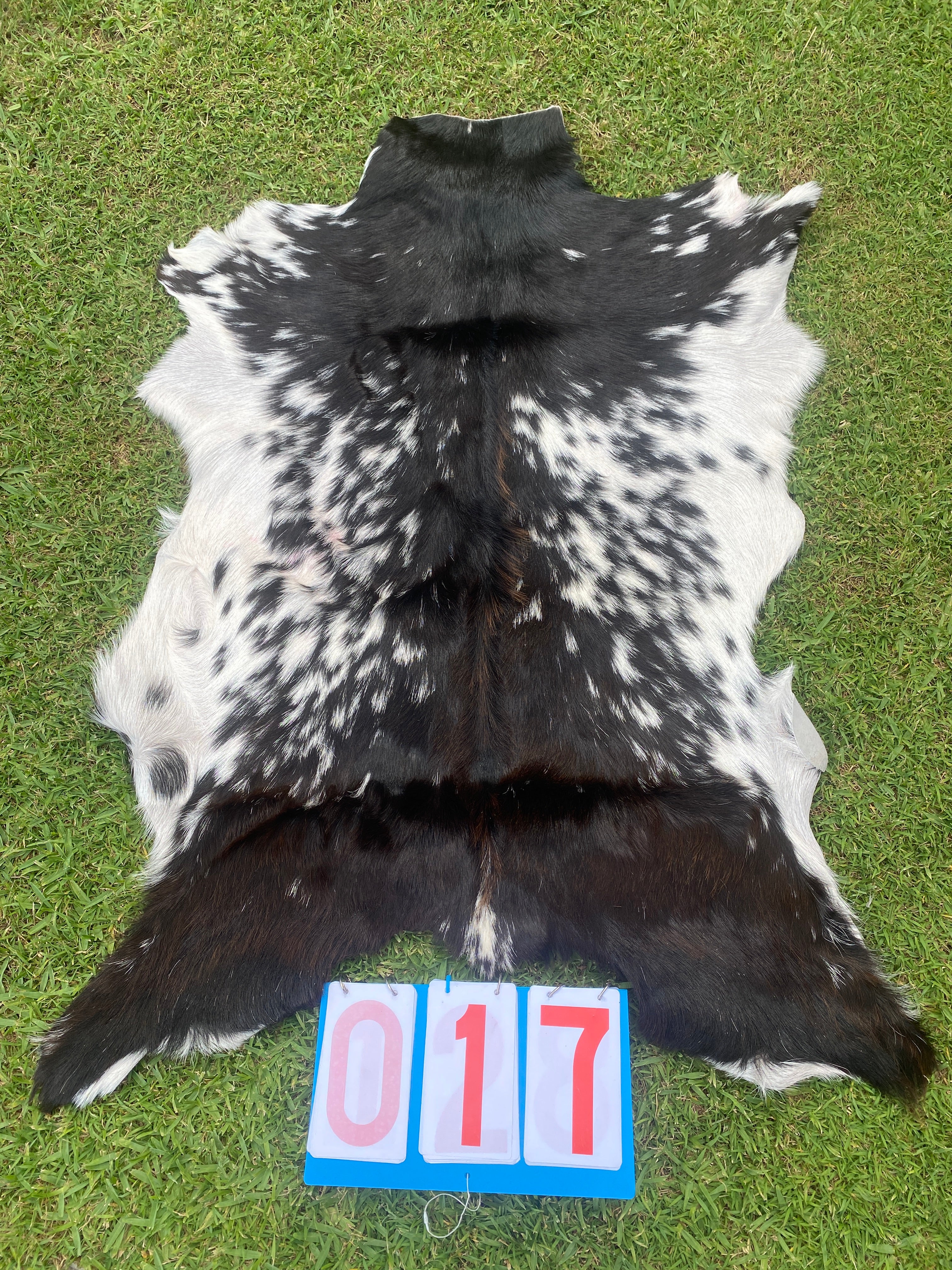 Specialty Skin - Goat