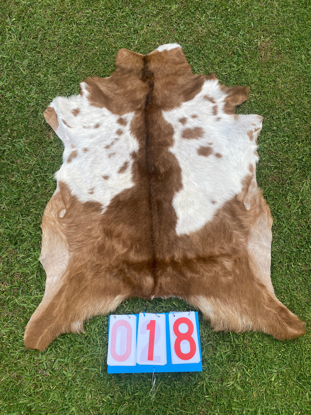 Specialty Skin - Goat