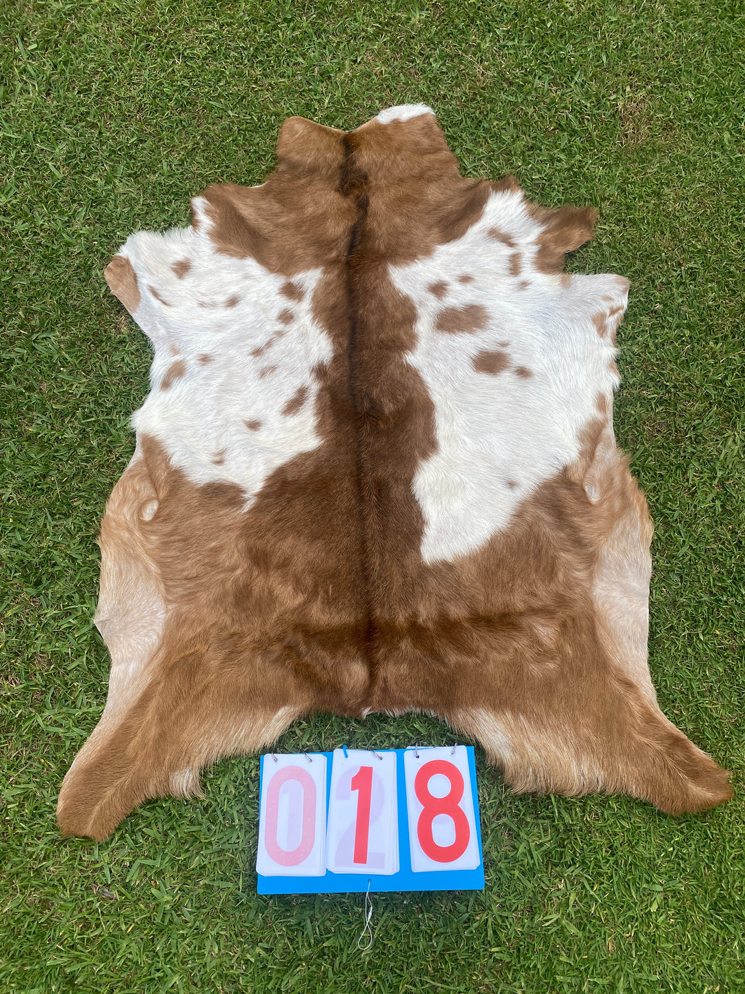 Specialty Skin - Goat