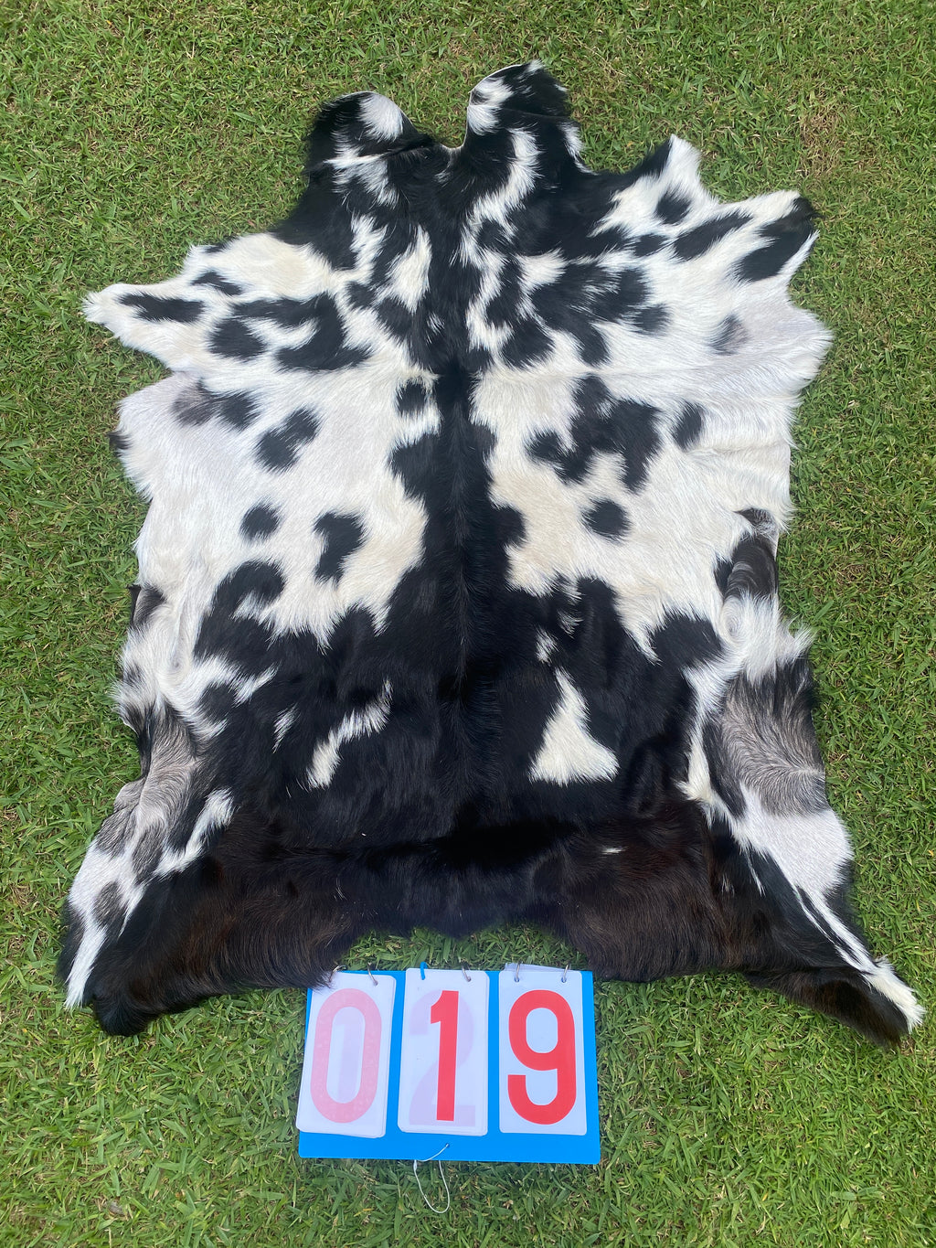 Specialty Skin - Goat