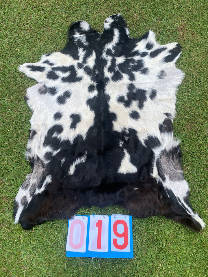 Specialty Skin - Goat