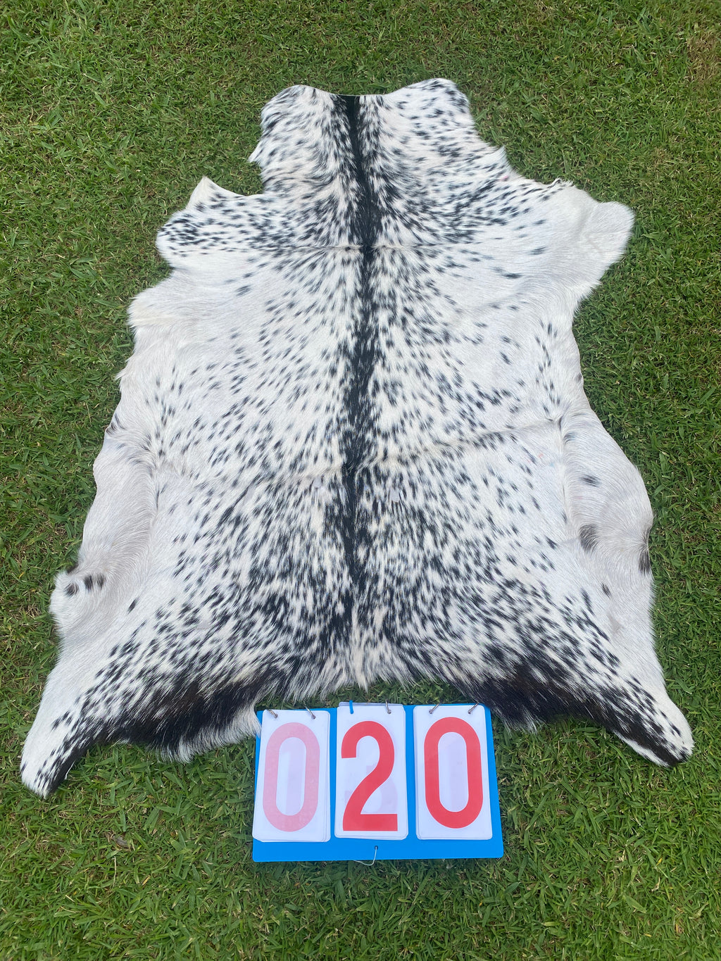 Specialty Skin - Goat