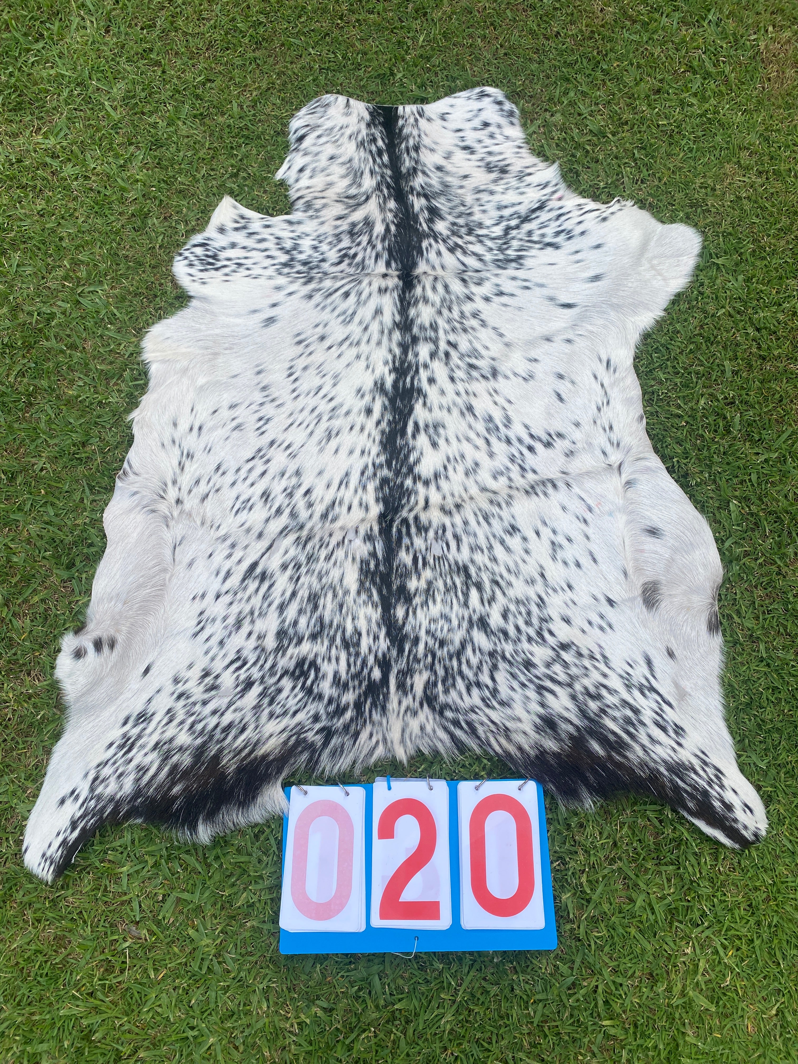 Specialty Skin - Goat