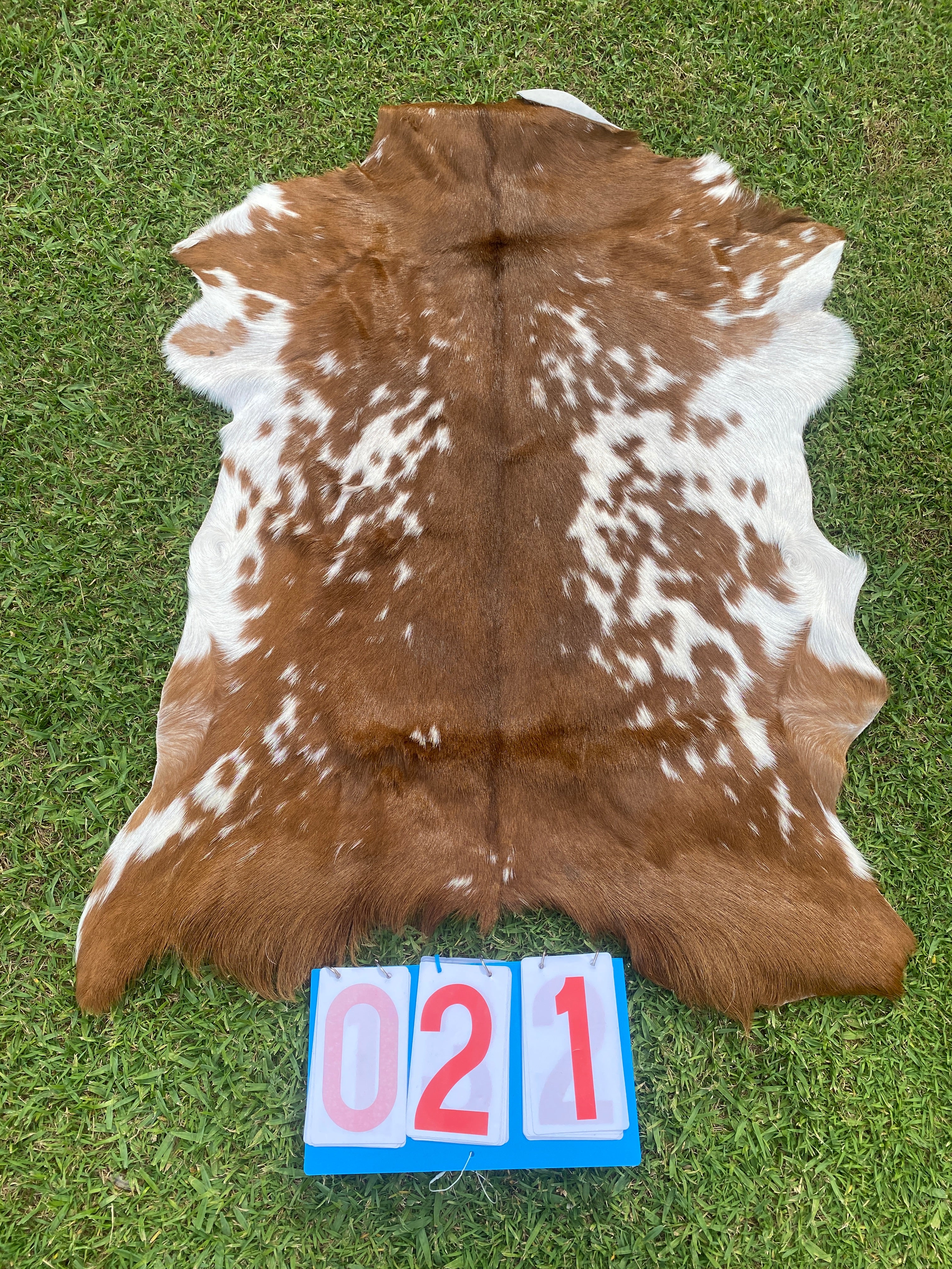 Specialty Skin - Goat