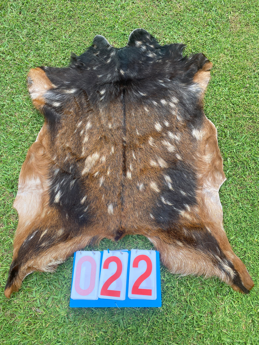 Specialty Skin - Goat