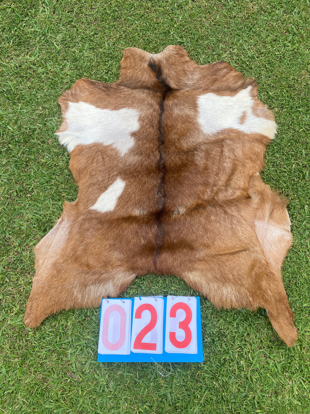 Specialty Skin - Goat