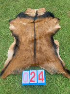 Specialty Skin - Goat