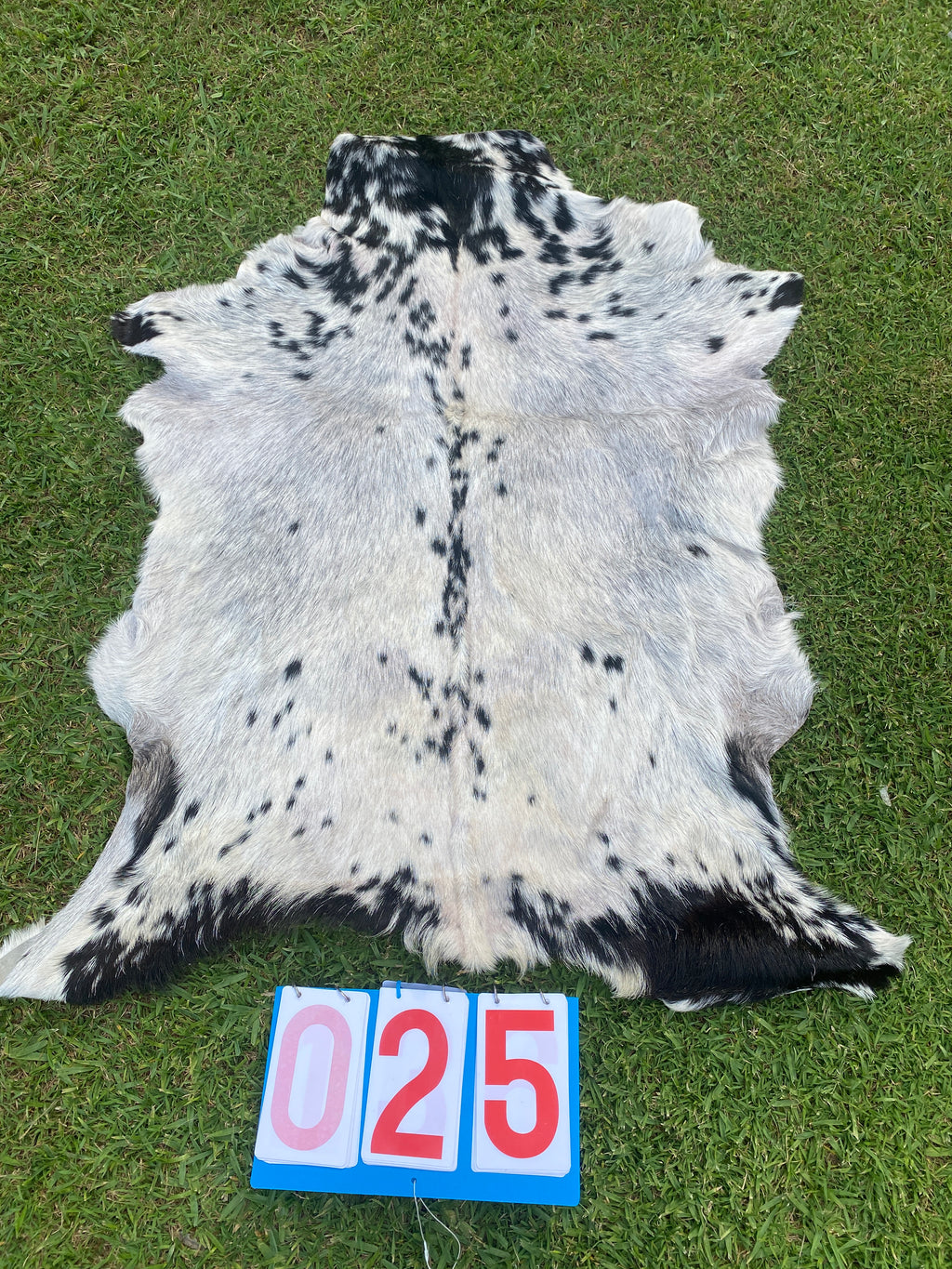 Specialty Skin - Goat