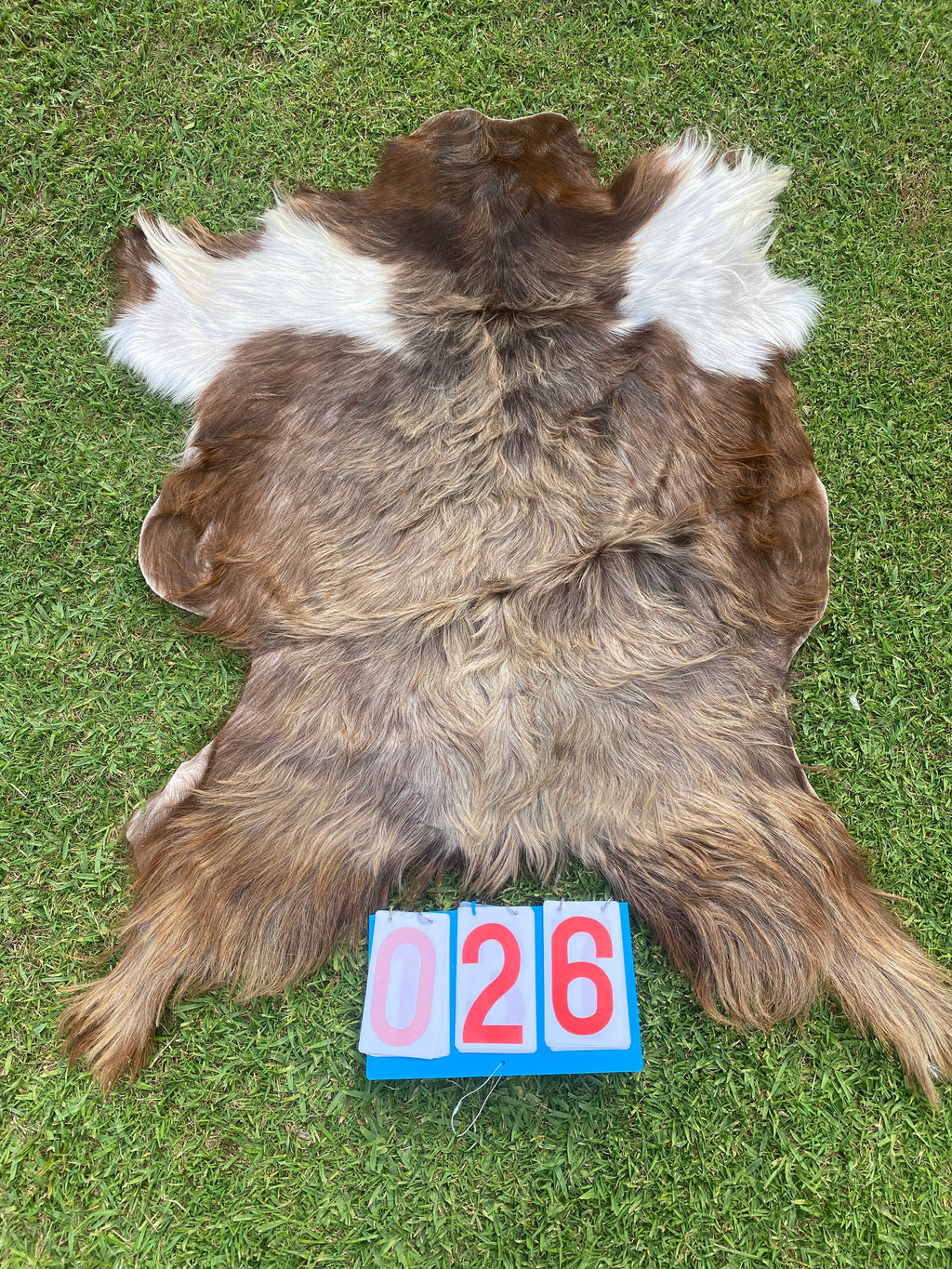 Specialty Skin - Goat