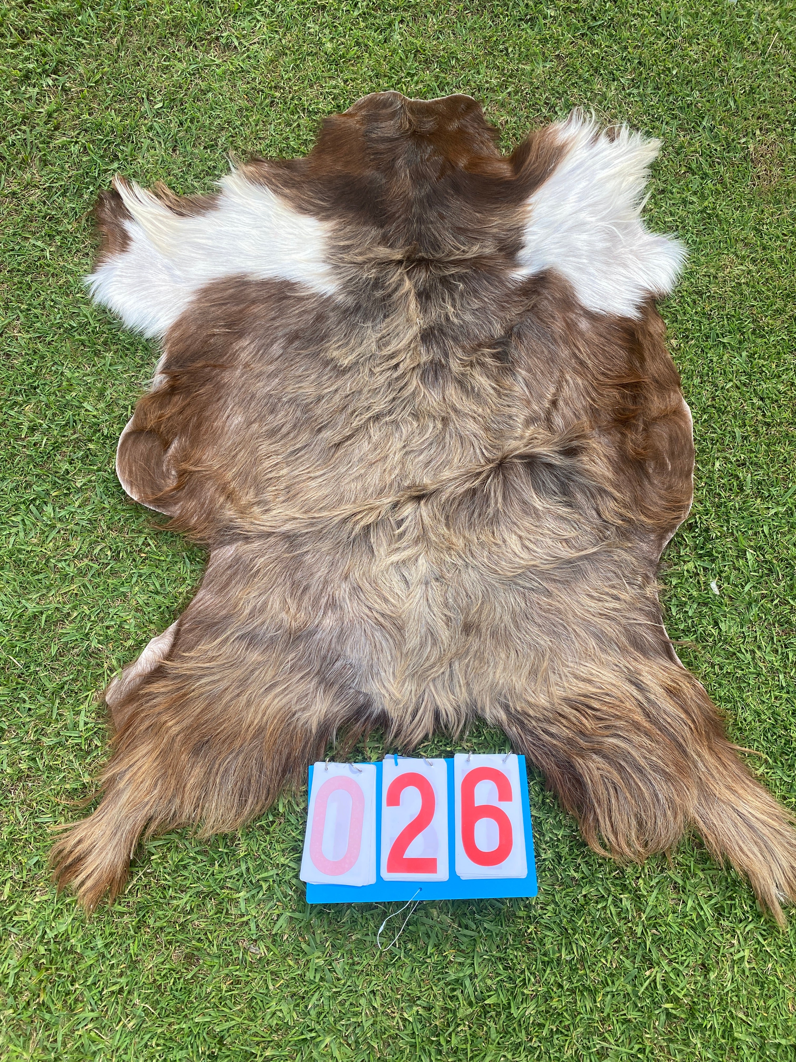 Specialty Skin - Goat