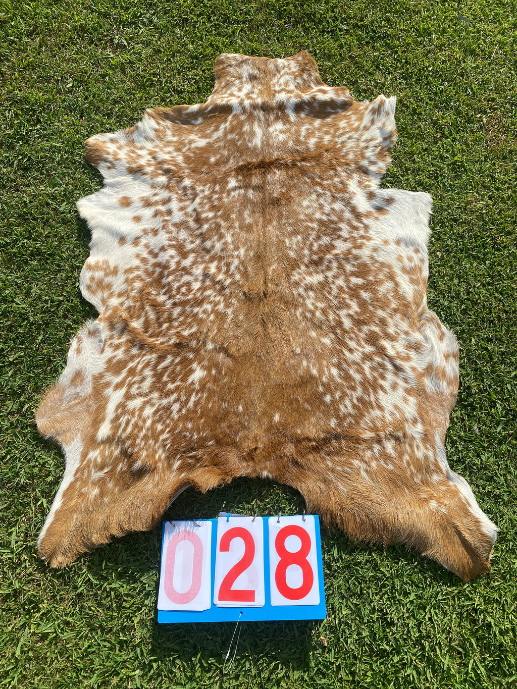 Specialty Skin - Goat