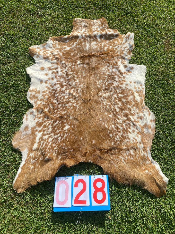 Specialty Skin - Goat
