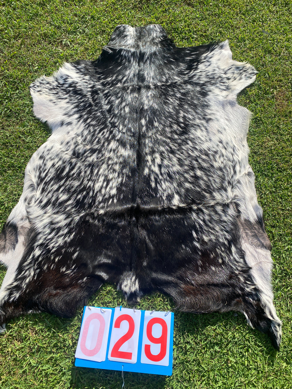 Specialty Skin - Goat