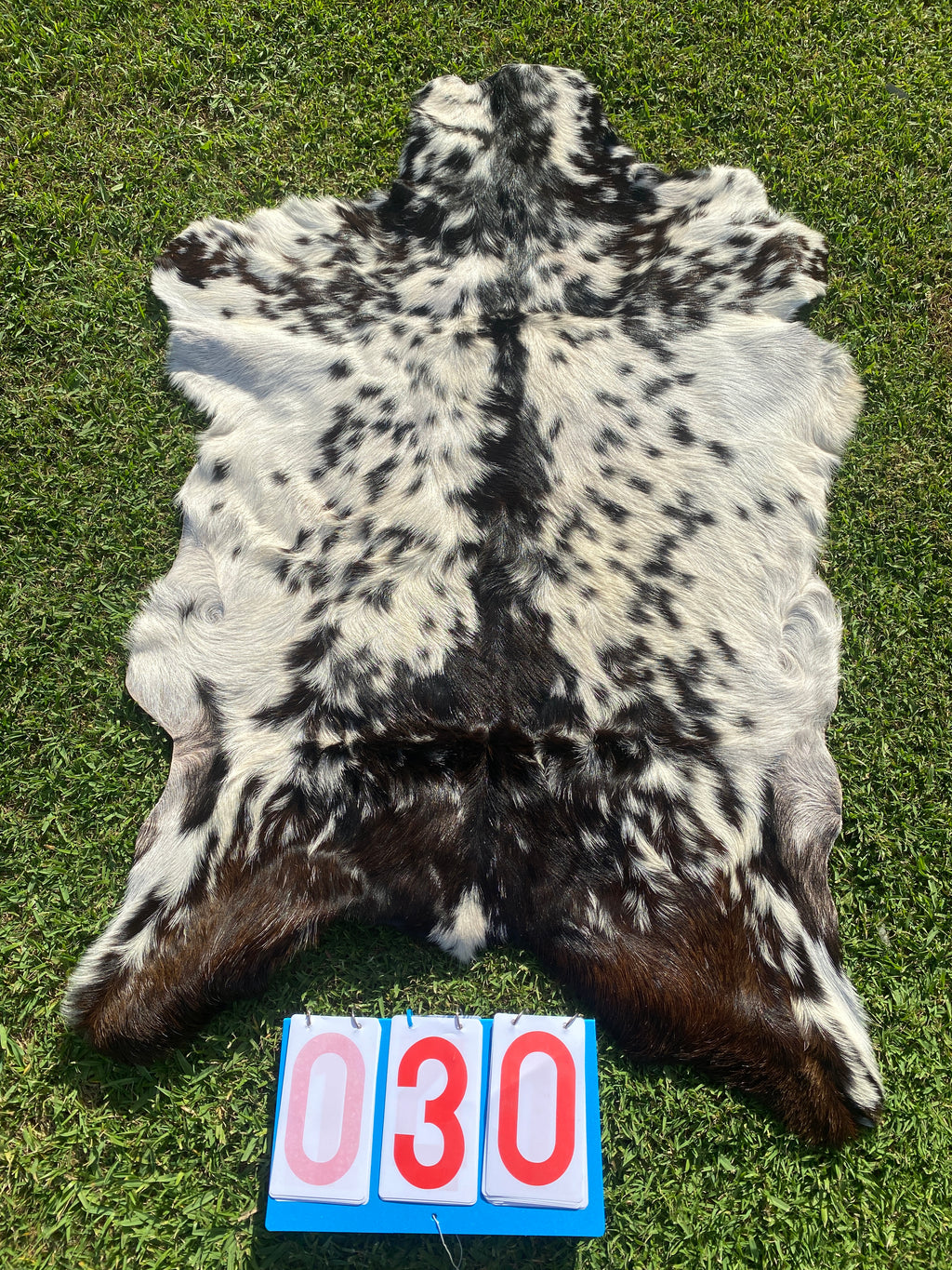 Specialty Skin - Goat