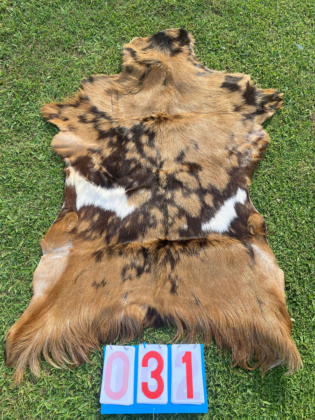 Specialty Skin - Goat