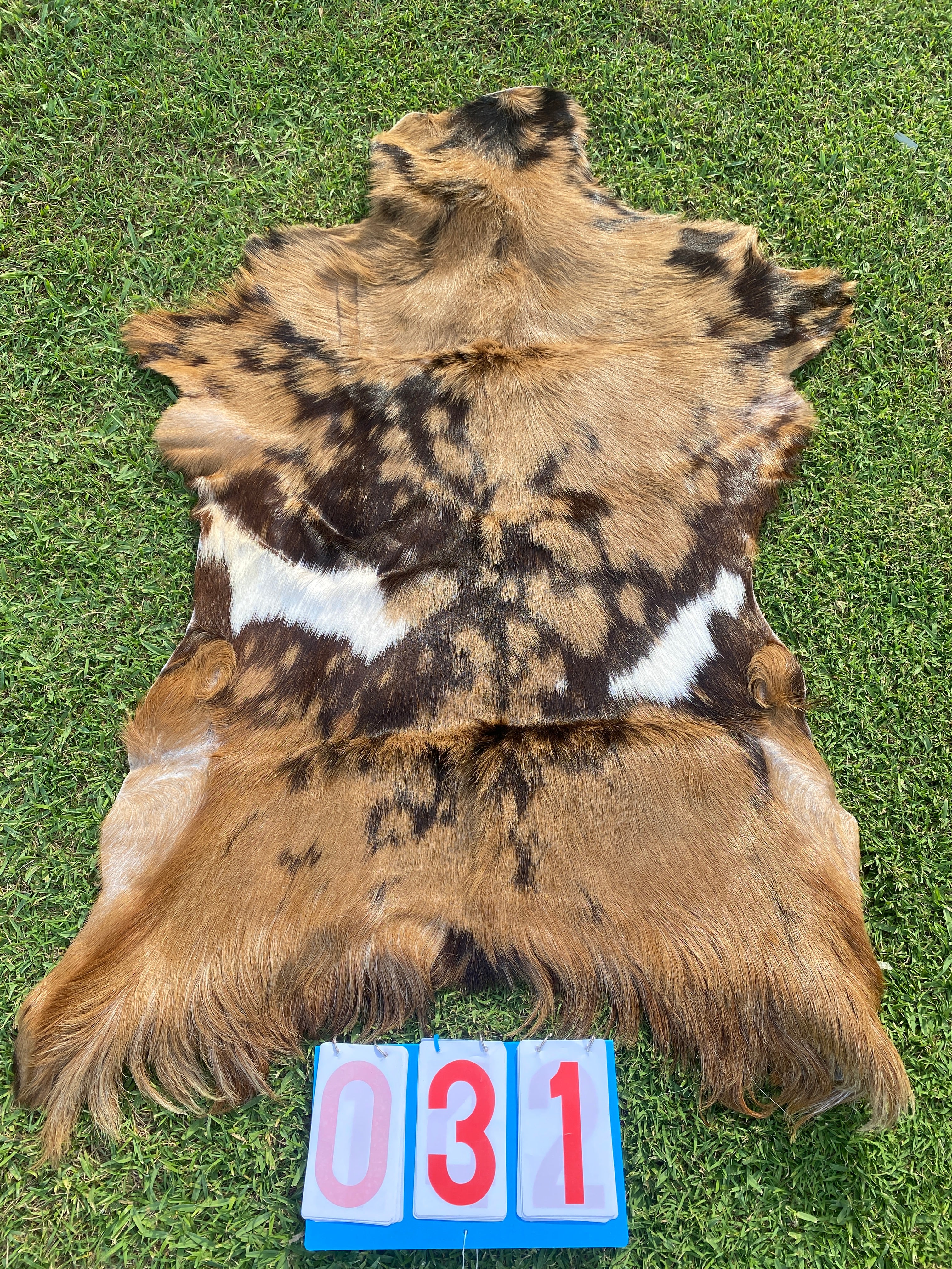 Specialty Skin - Goat